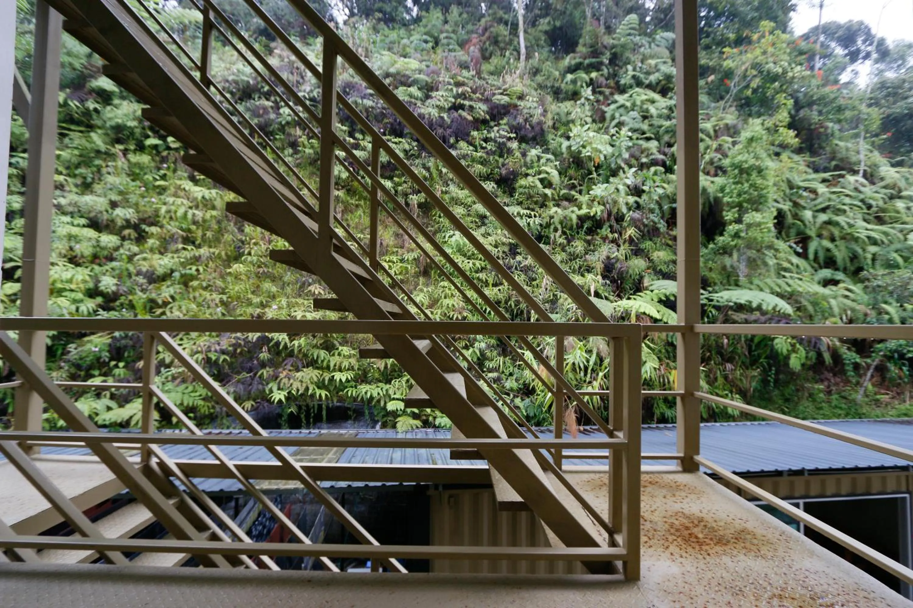 Area and facilities in Golden Lodge