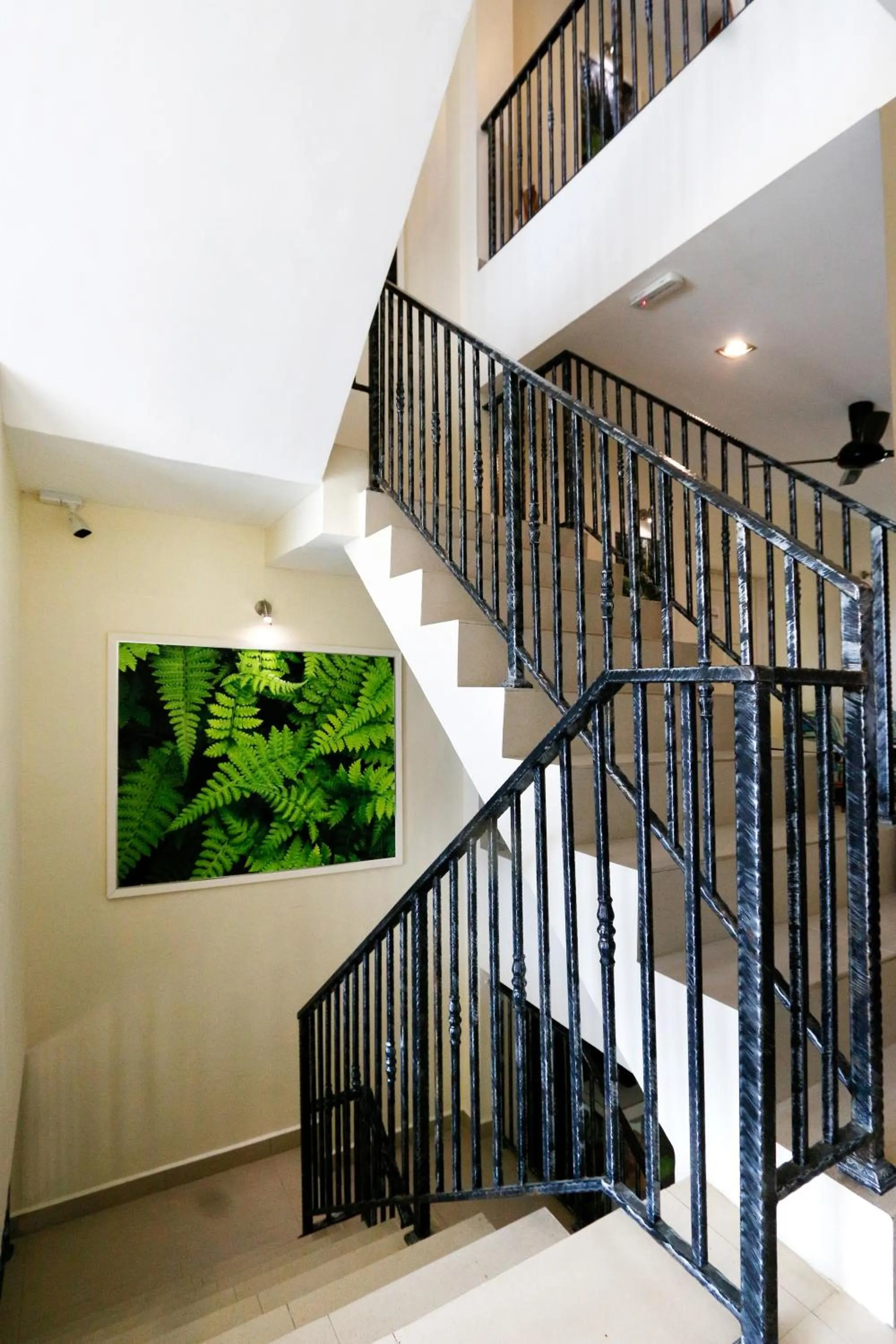 Area and facilities in Golden Lodge