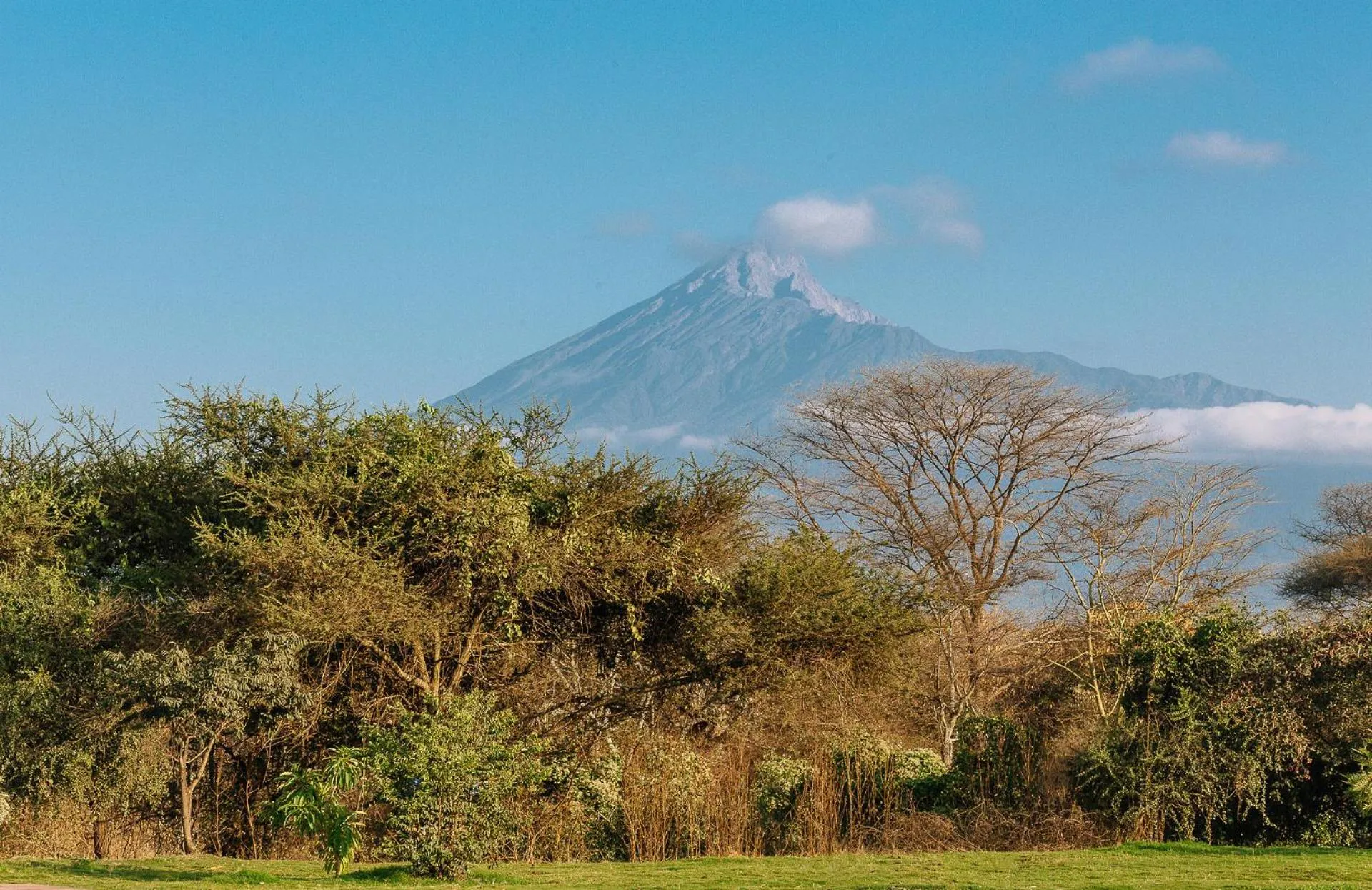 Mountain view in Kili Seasons Hotel