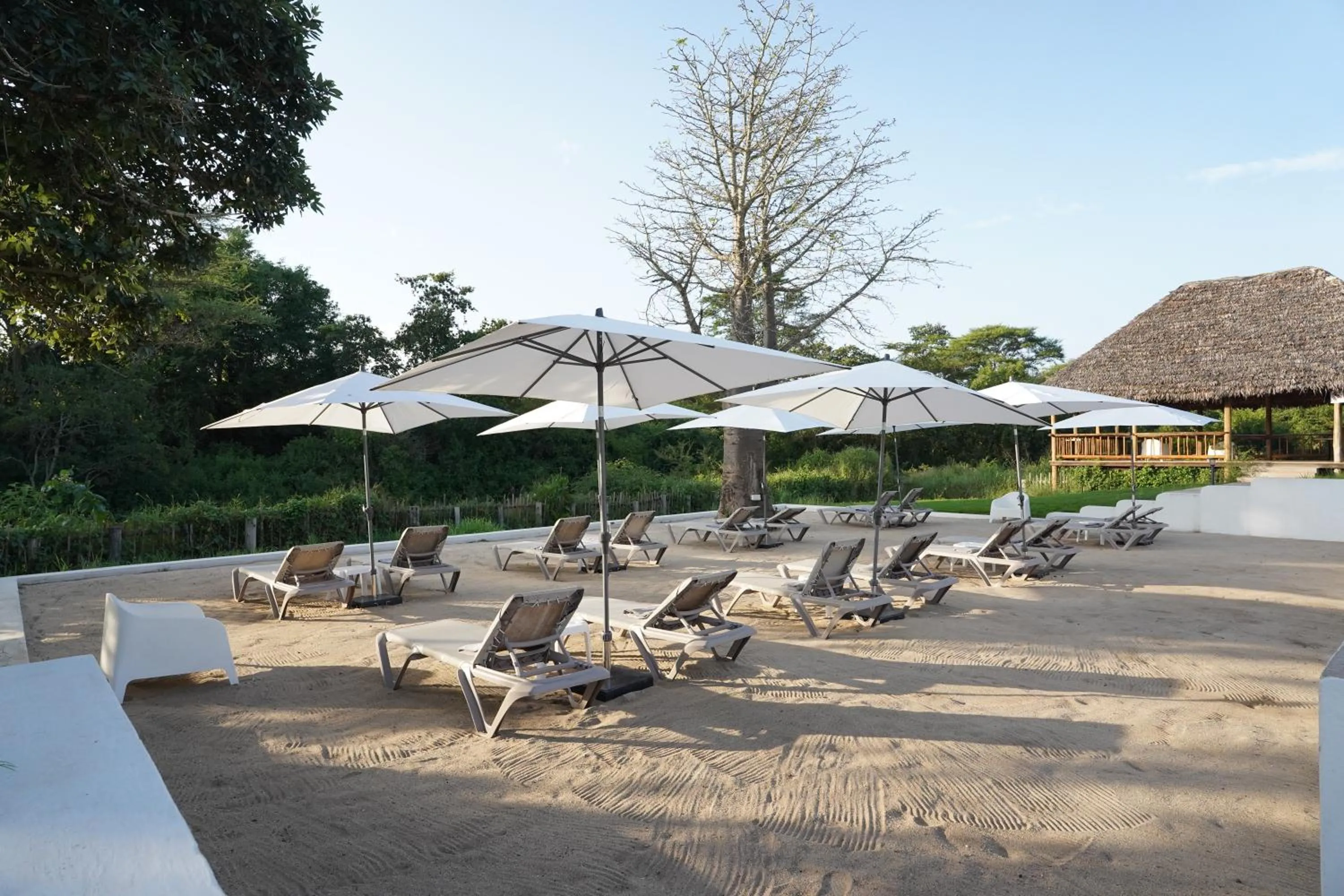 Natural landscape in Kili Seasons Hotel