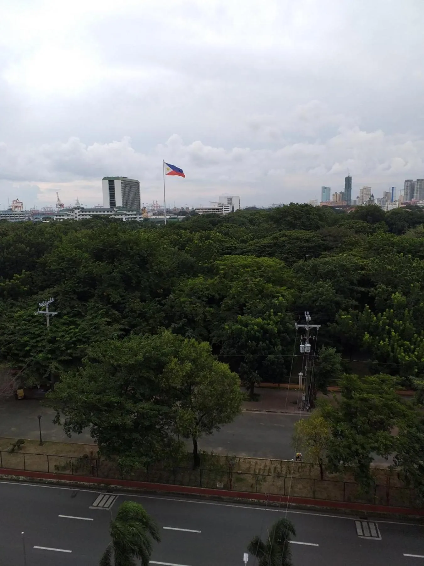 The Purple Tree Hostel