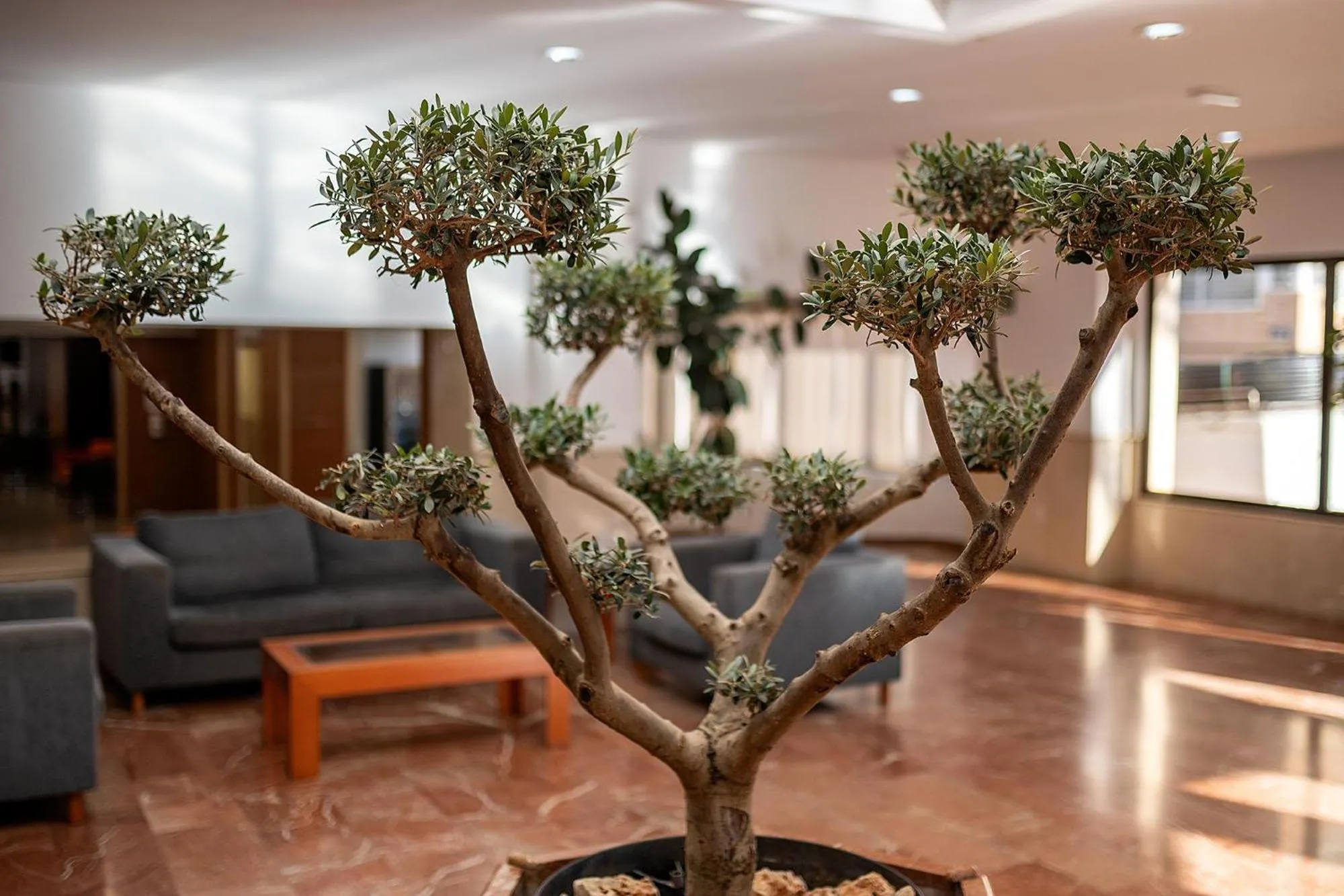 Lobby or reception in Hotel Playas de Torrevieja