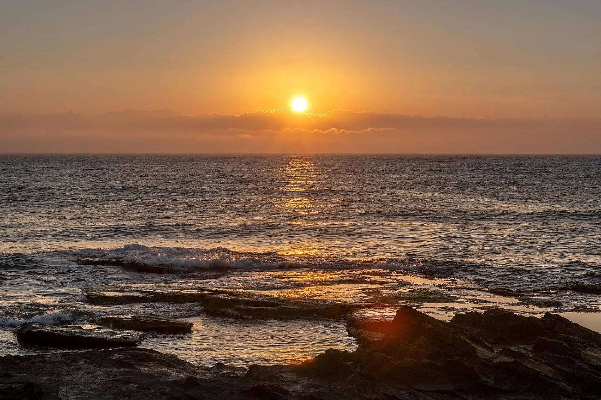 Natural landscape in Hotel Playas de Torrevieja