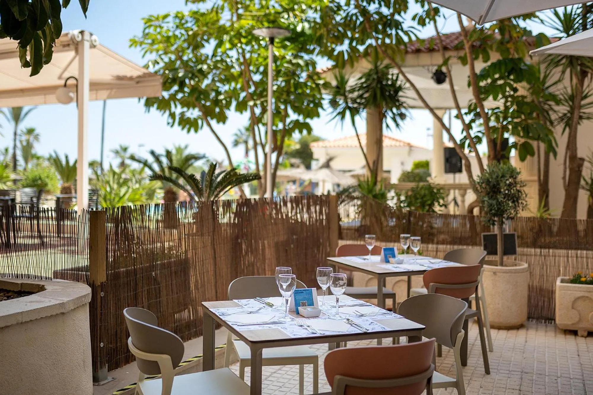 Restaurant/places to eat in Hotel Playas de Torrevieja