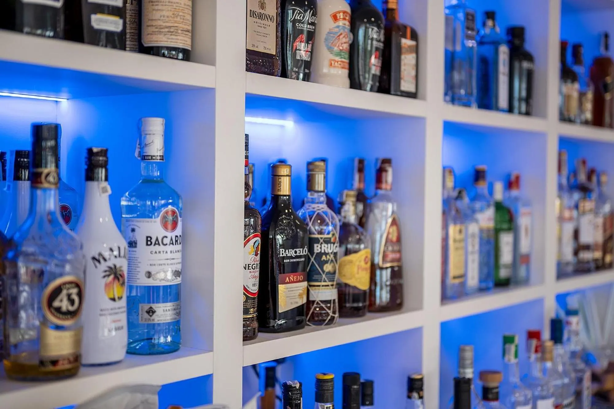 Lounge or bar in Hotel Playas de Torrevieja