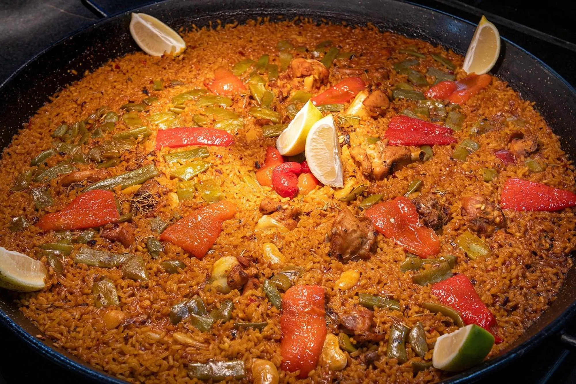 Pets in Hotel Playas de Torrevieja