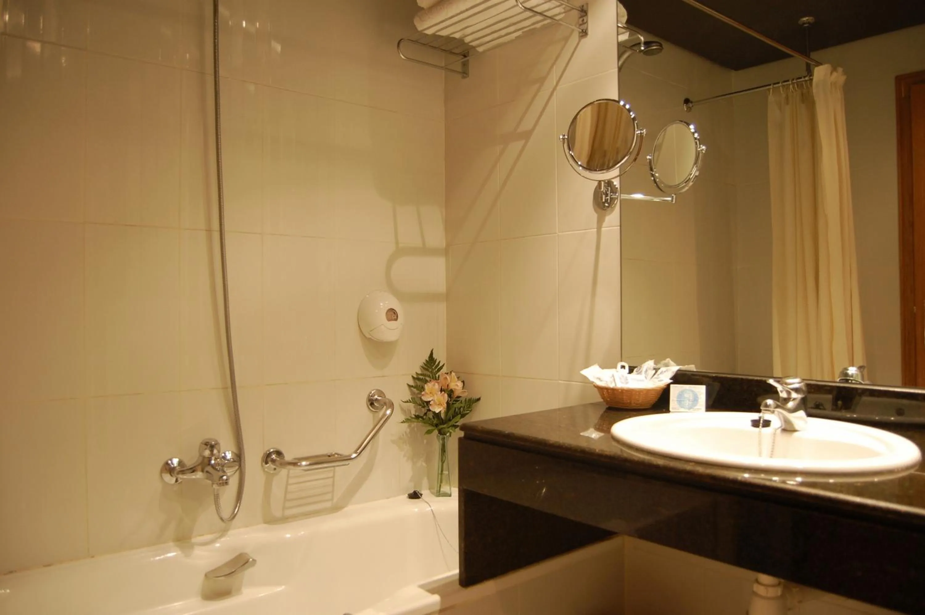 Bathroom in Felipe IV