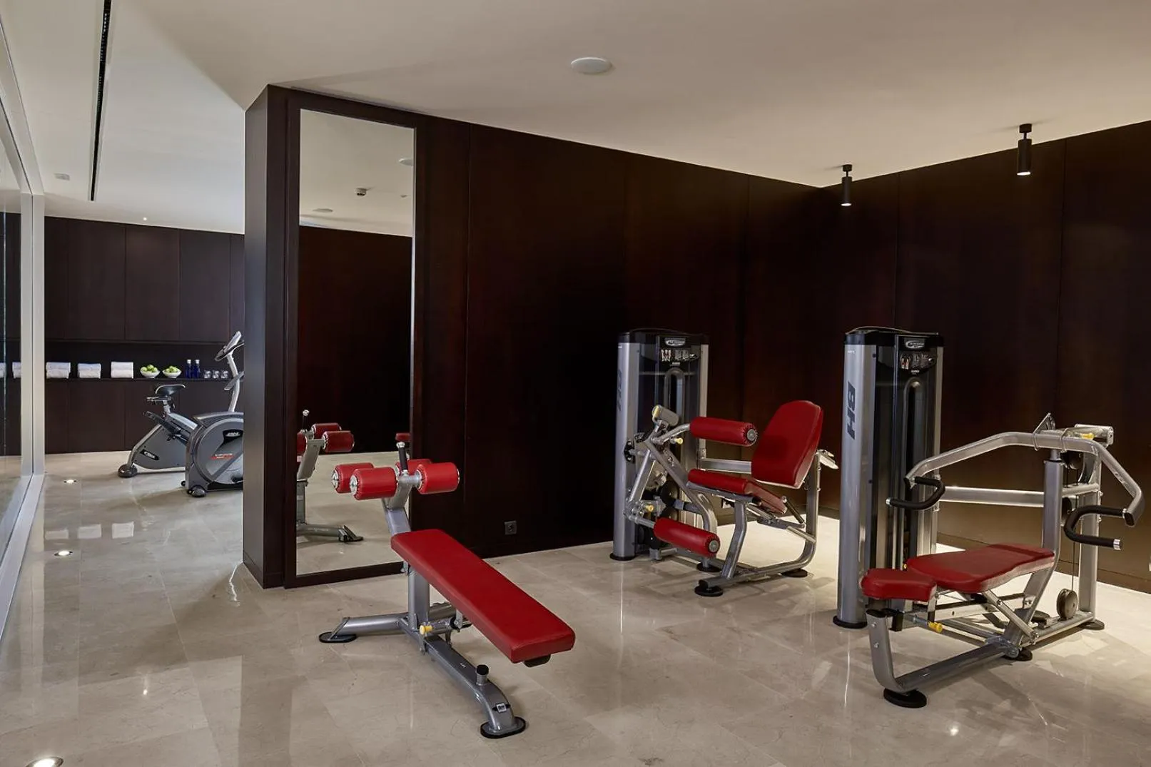 Fitness centre/facilities in Hotel Fernando III