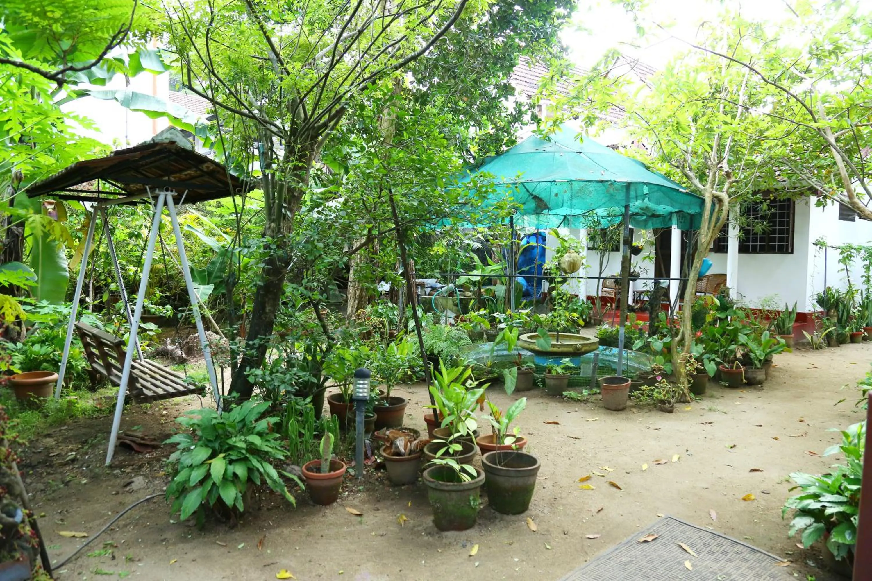 Garden in Walton's Homestay, Fort Cochin