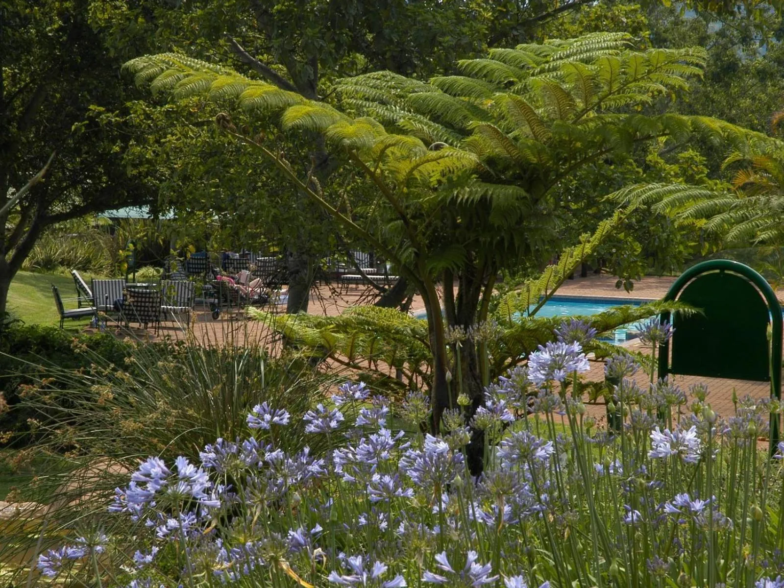 Pool view in Penny's Place on Greenway