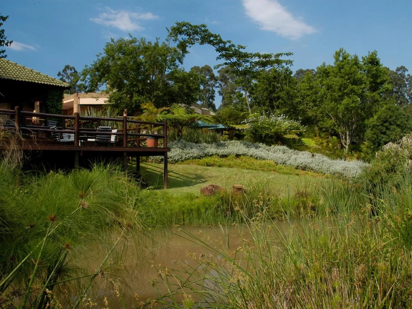 Patio in Penny's Place on Greenway