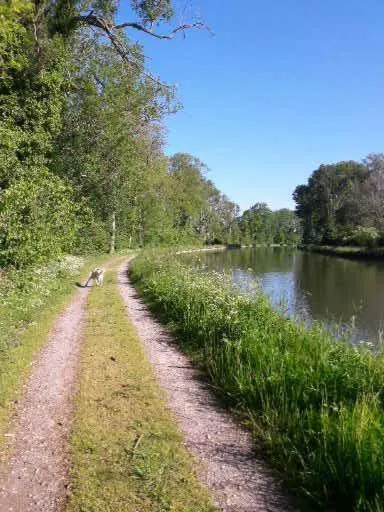 Nearby landmark in Studio Ferme de Bonavis