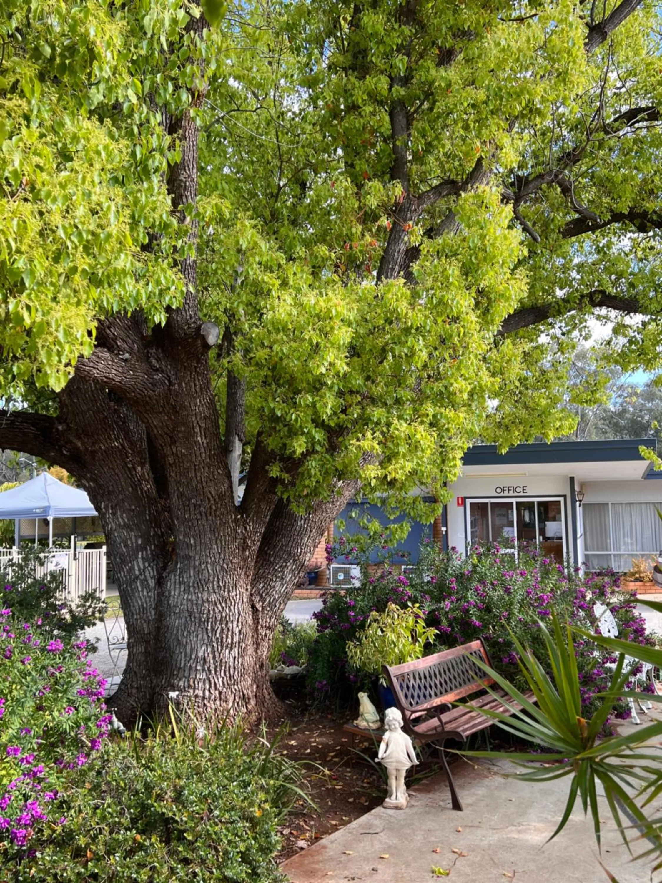 Day in Sturt Motel Balranald