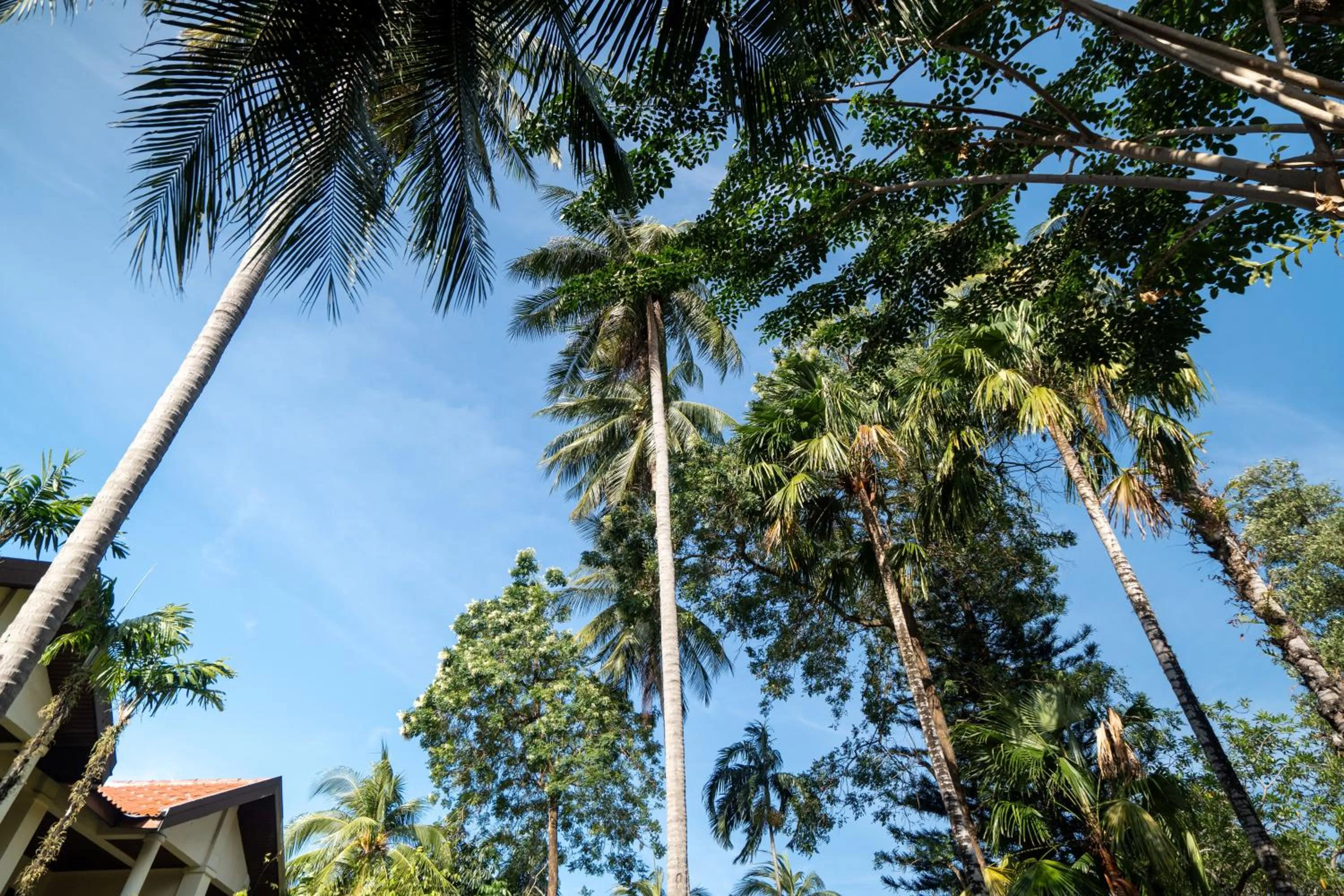 Natural landscape in Phuket Leelavadee Hua Ting Resort