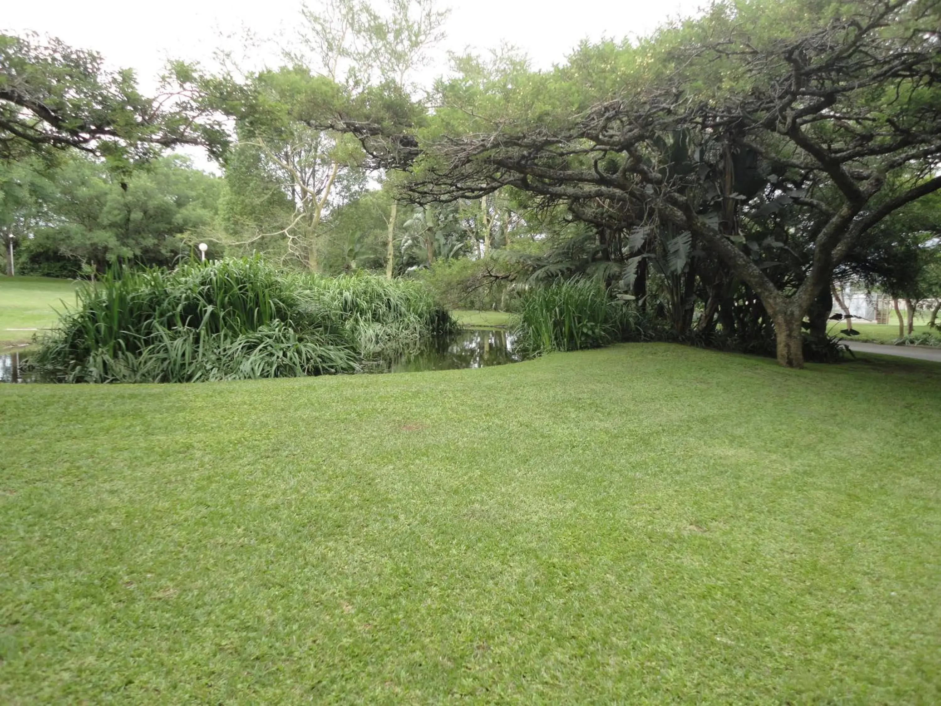 Property building in Ascot Inn Property building in Ascot Inn