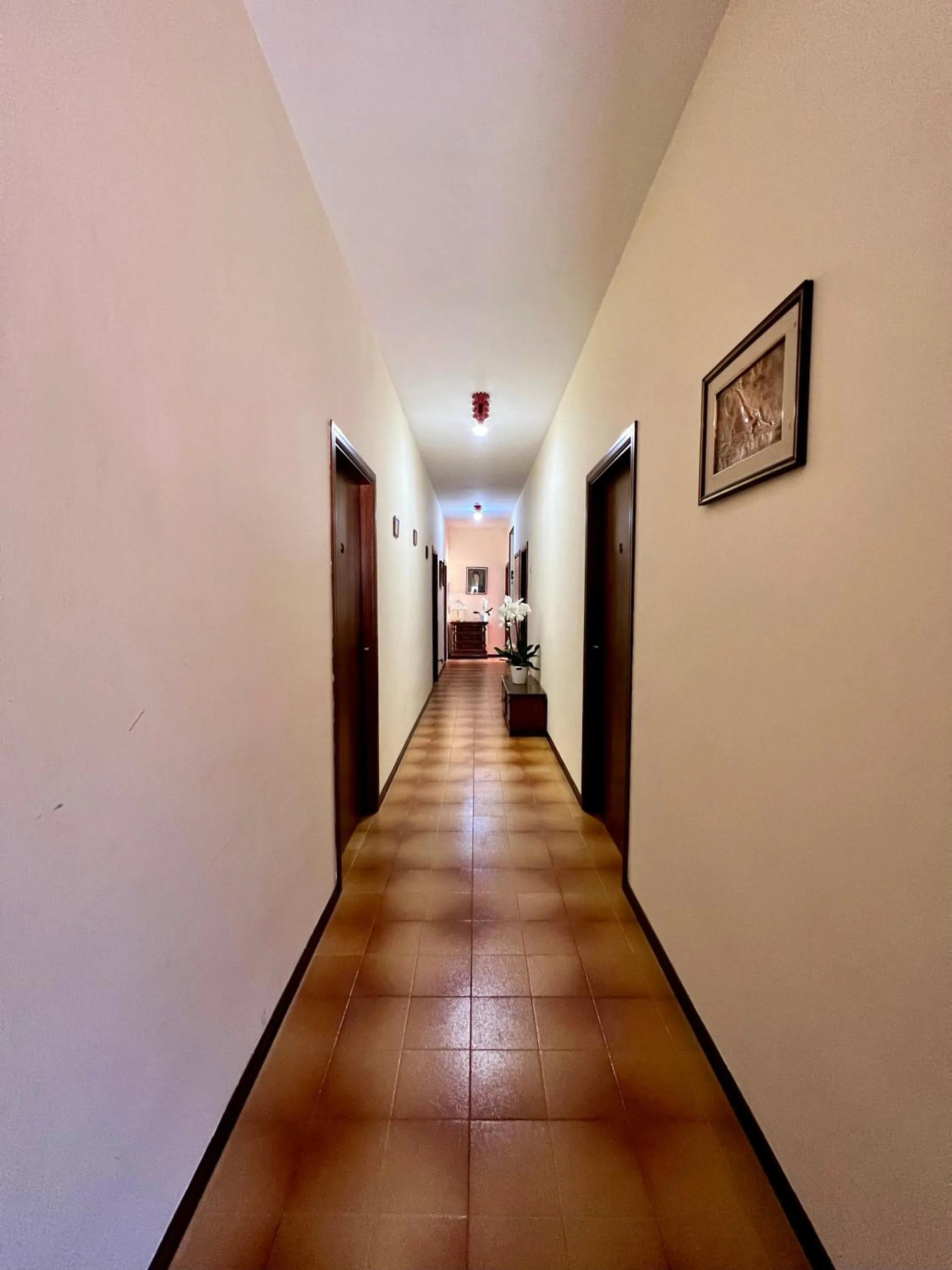 Food close-up in Hotel Ca' Bianca da Paolino