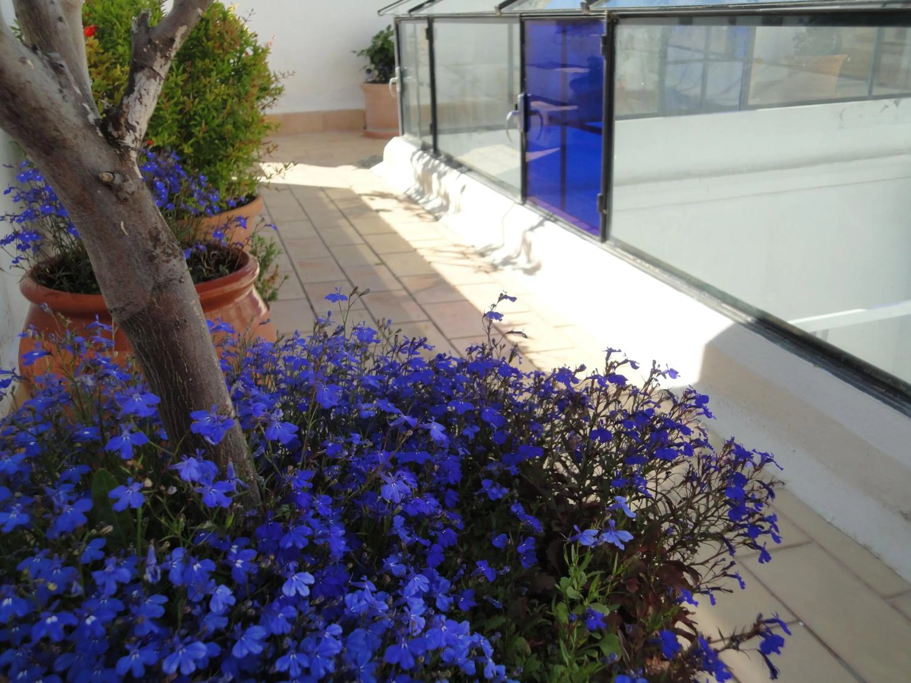 Balcony/Terrace in La Casa Grande