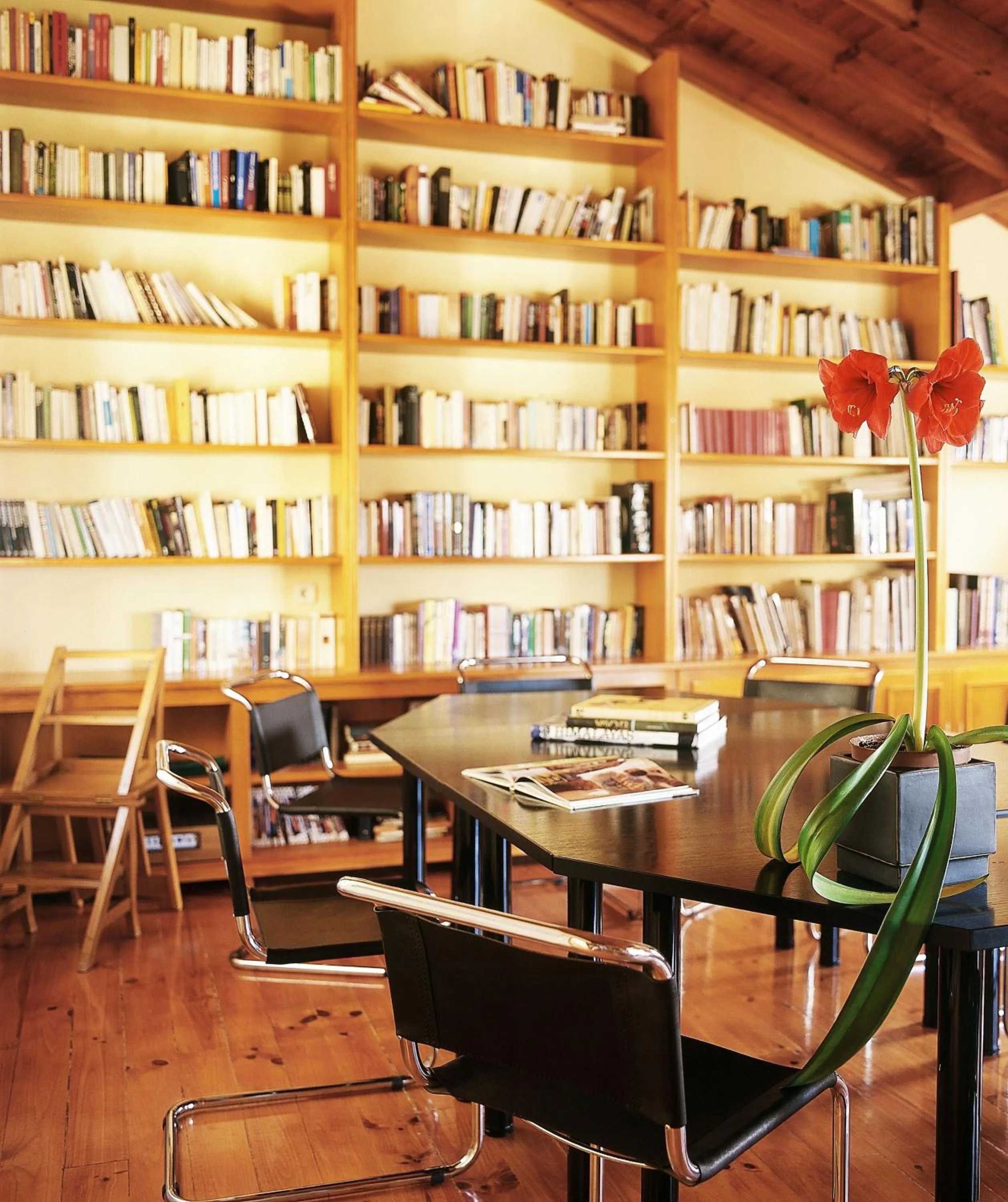 Library in El Milano Real