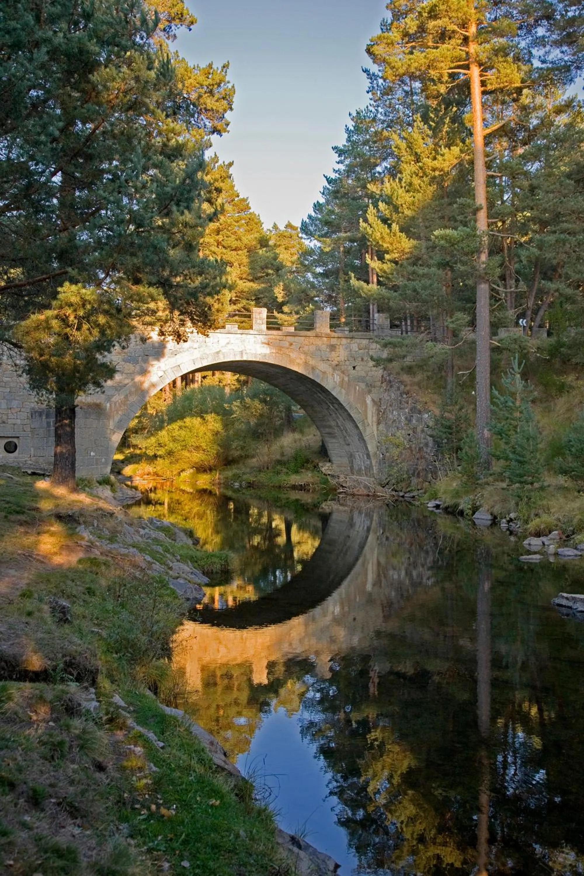 Area and facilities in El Milano Real