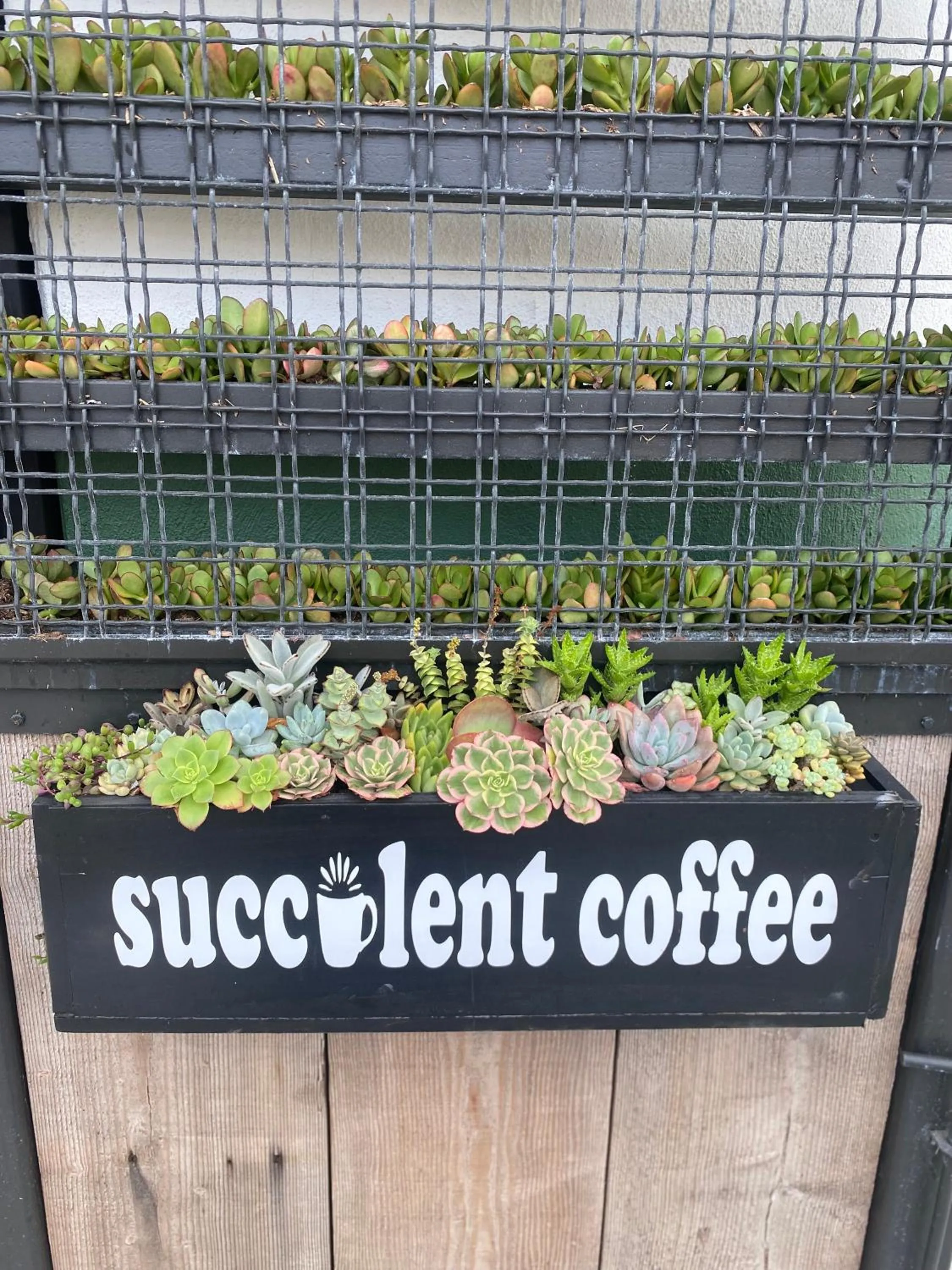 Patio in The Brick Boutique Hotel