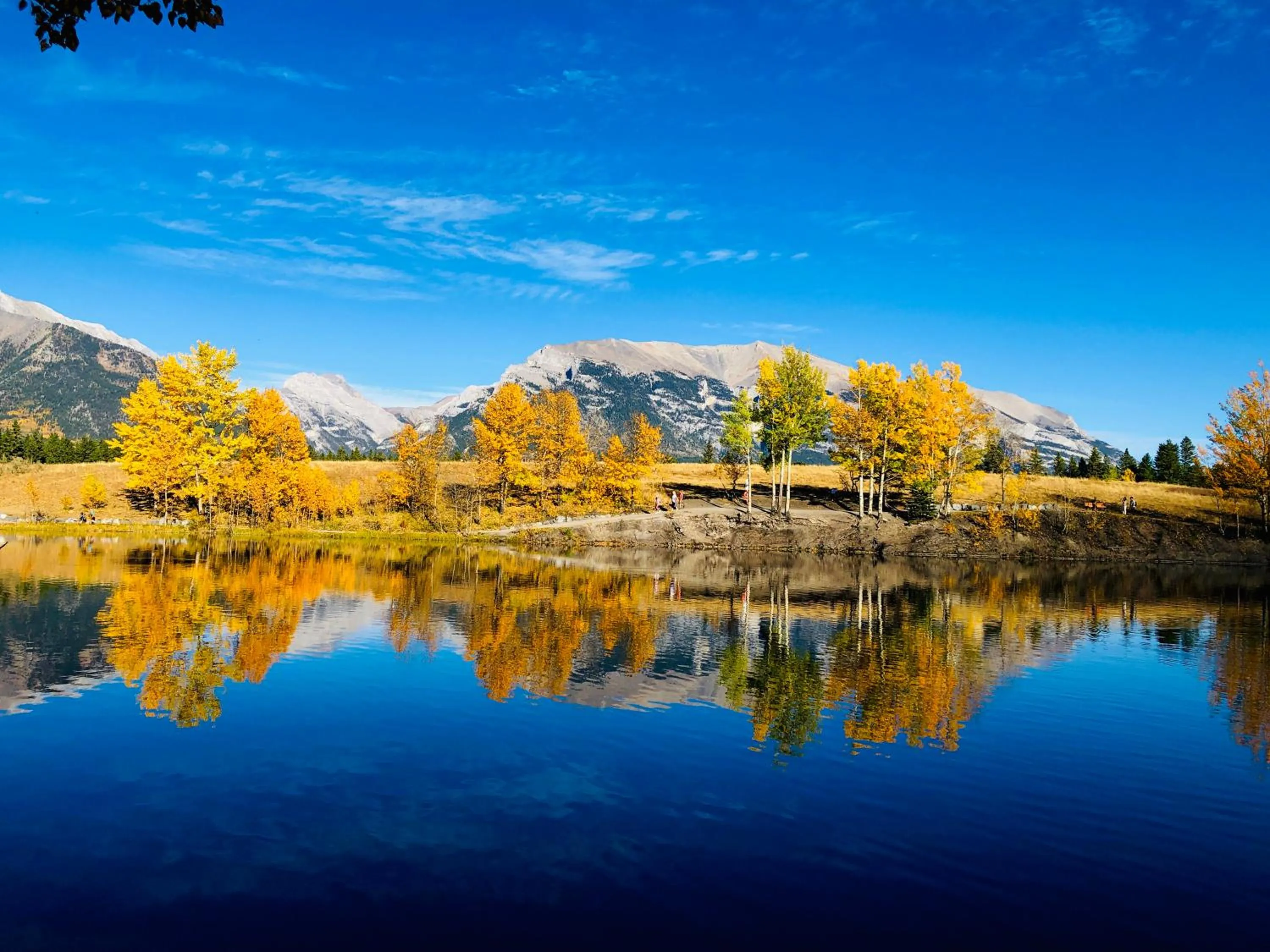 Neighbourhood in A Romantic Studio with Full Kitchen & AC-141