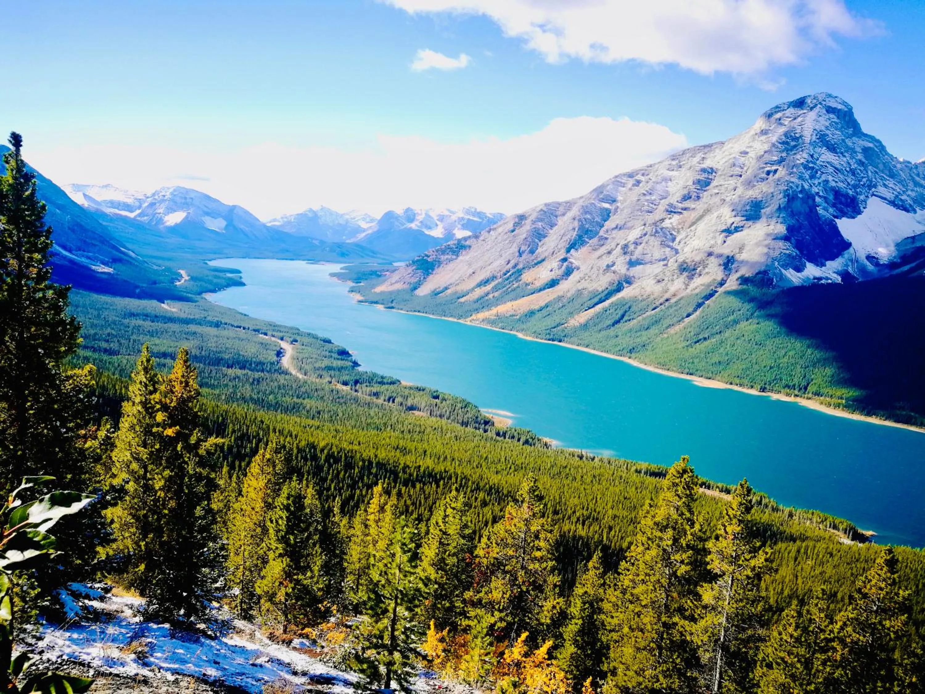 Neighbourhood in A Romantic Studio with Full Kitchen & AC-141