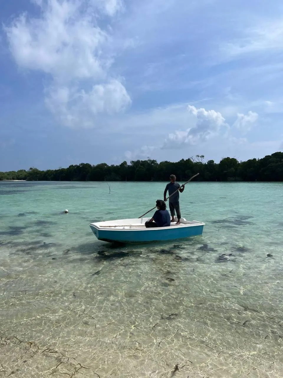 Natural landscape in Gaskara Guesthouse