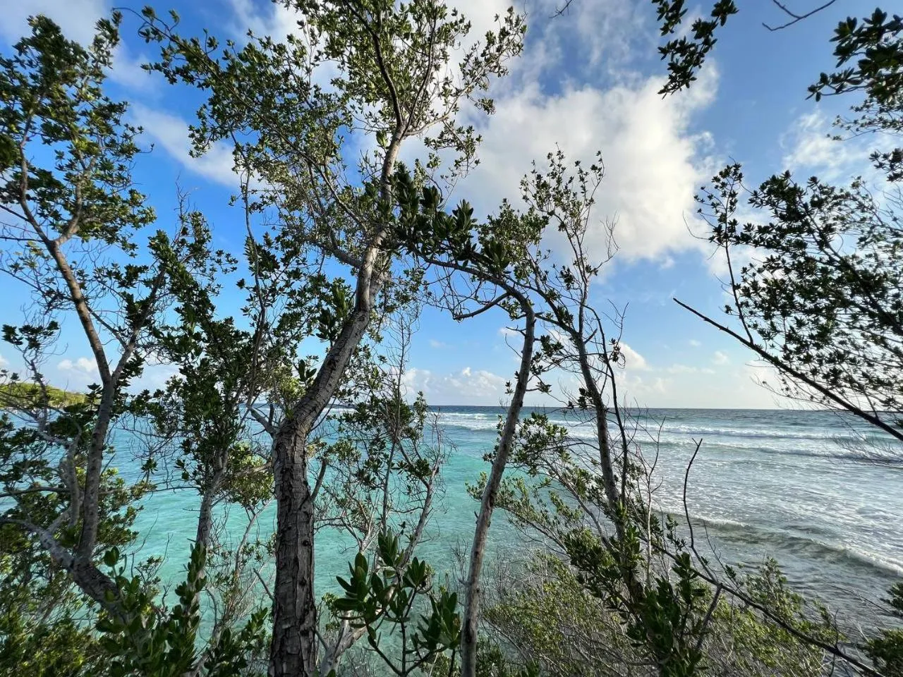 Day in Gaskara Guesthouse