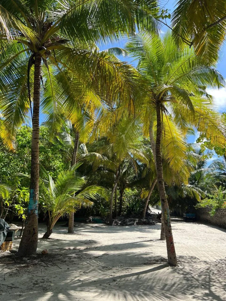 Activities in Gaskara Guesthouse