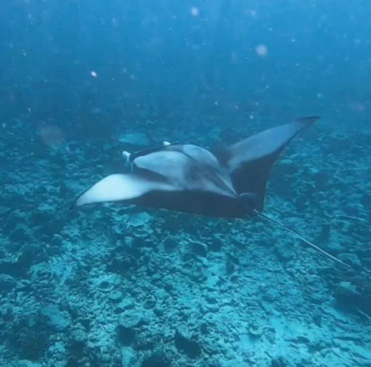 Activities in Gaskara Guesthouse