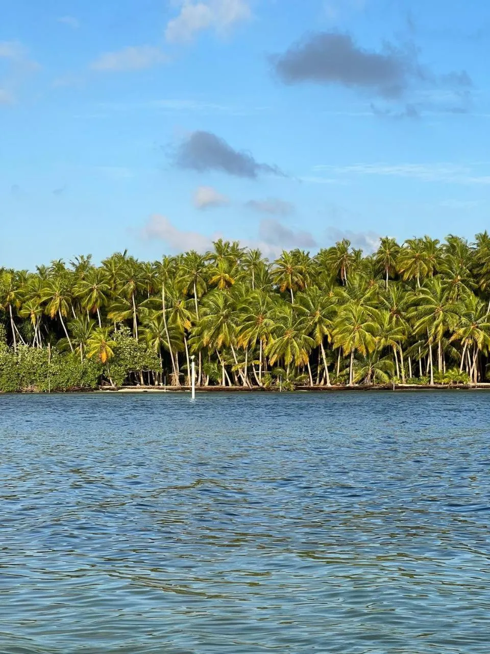 Day in Gaskara Guesthouse