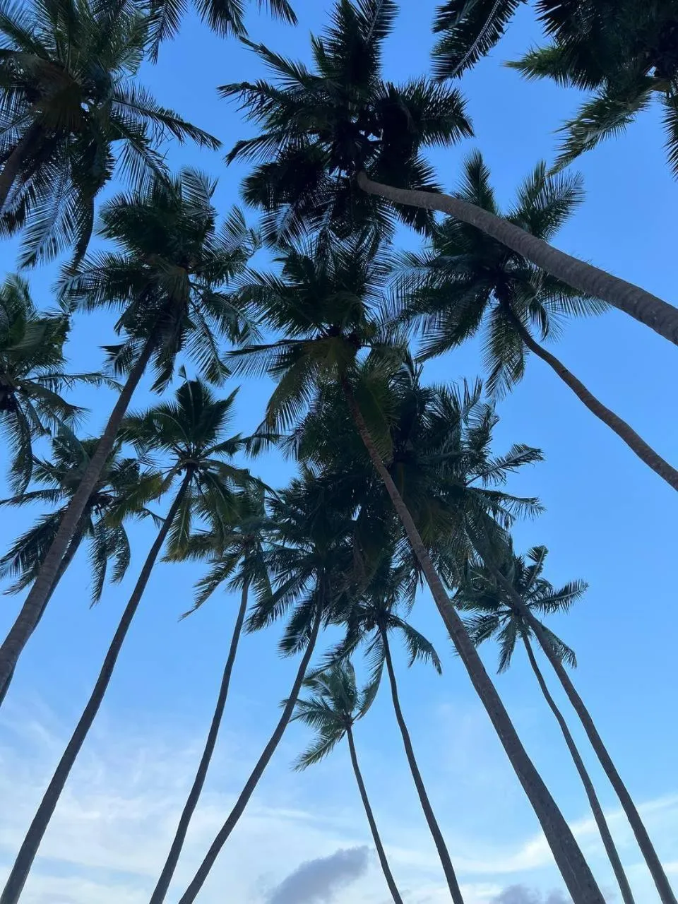 Day in Gaskara Guesthouse