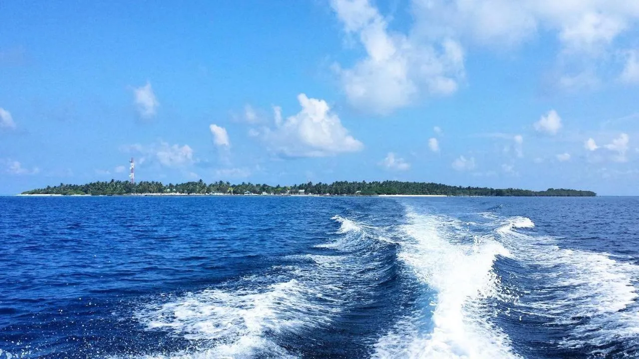 Day in Gaskara Guesthouse