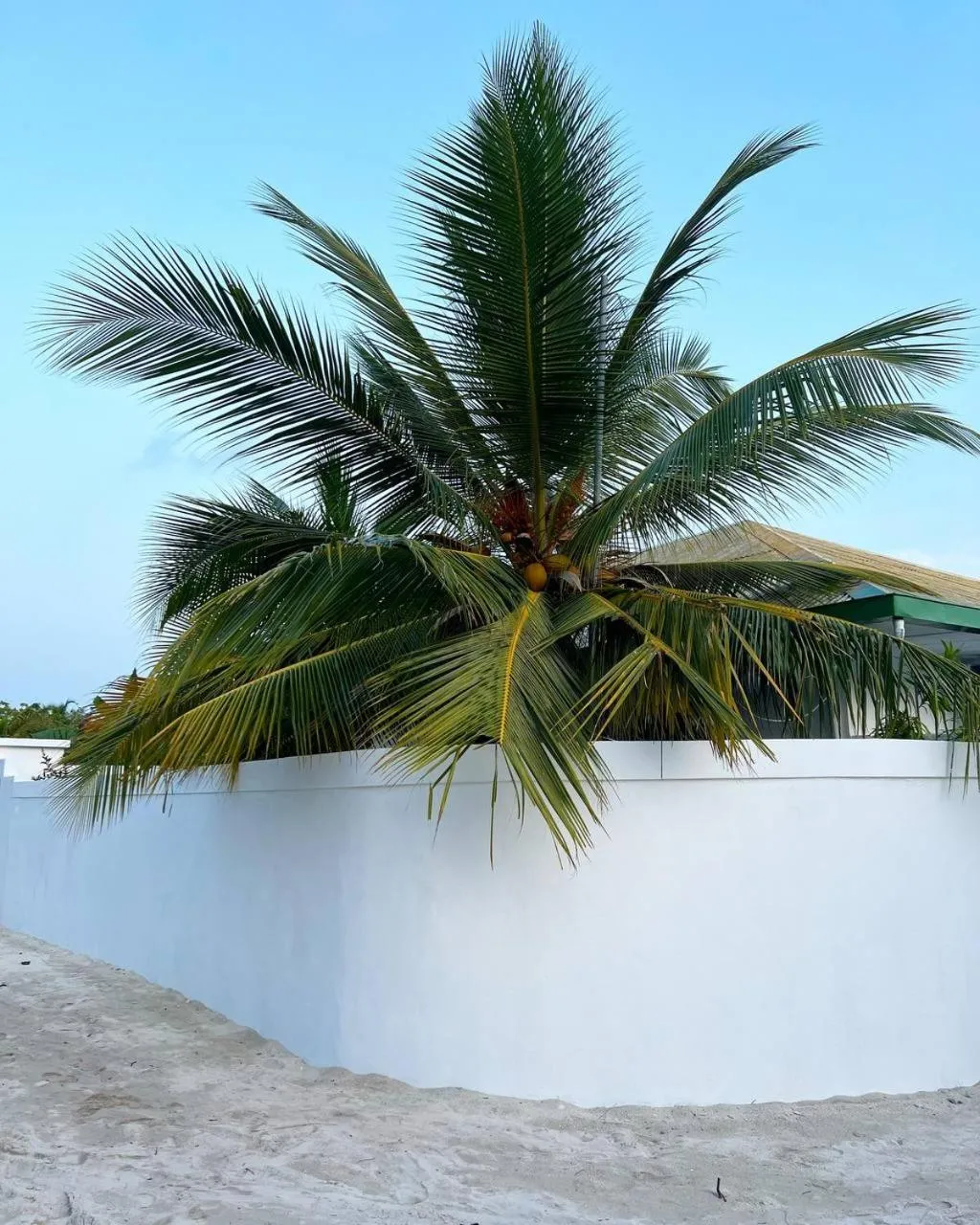 Day in Gaskara Guesthouse