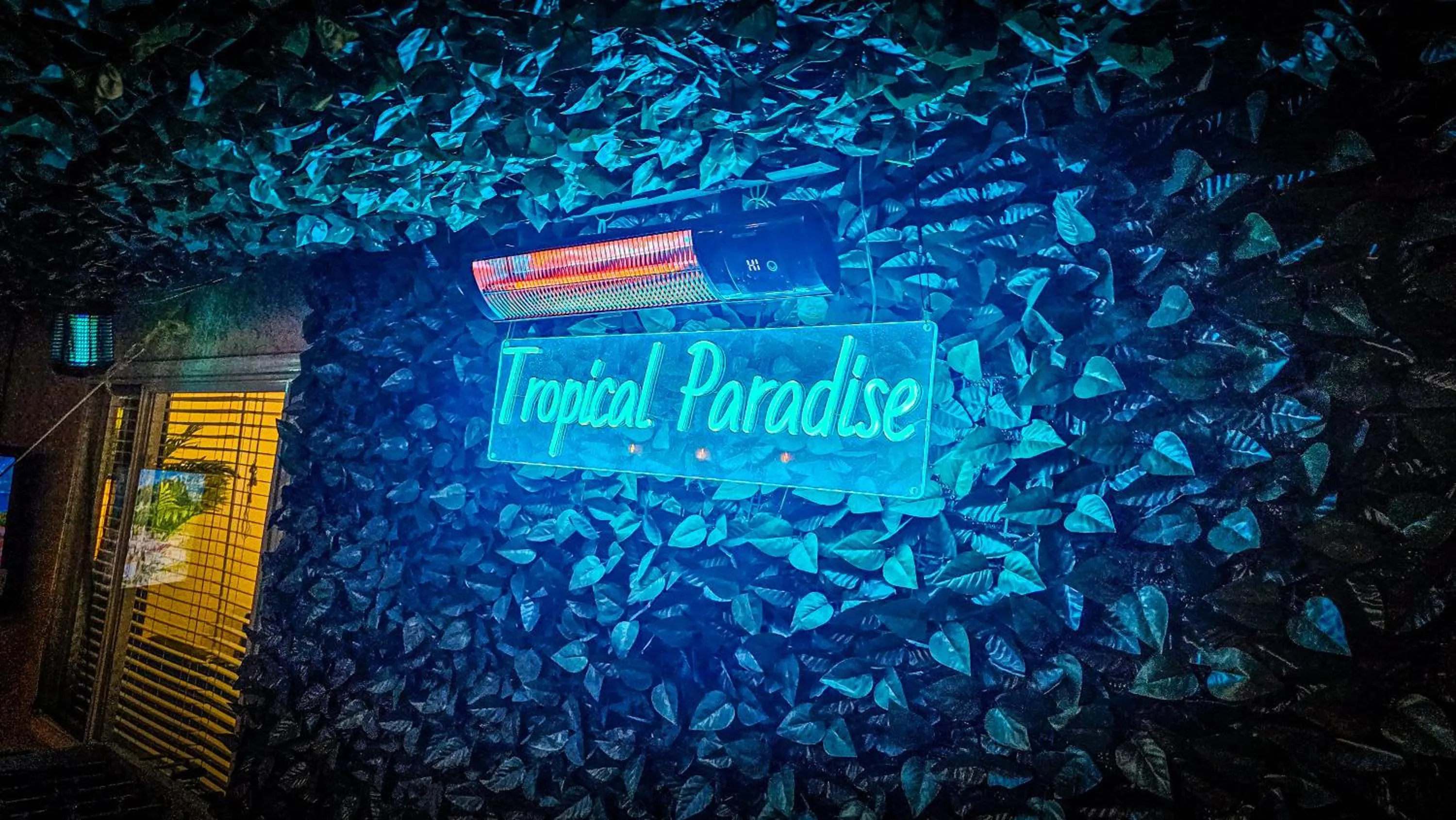 Tropical Paradise