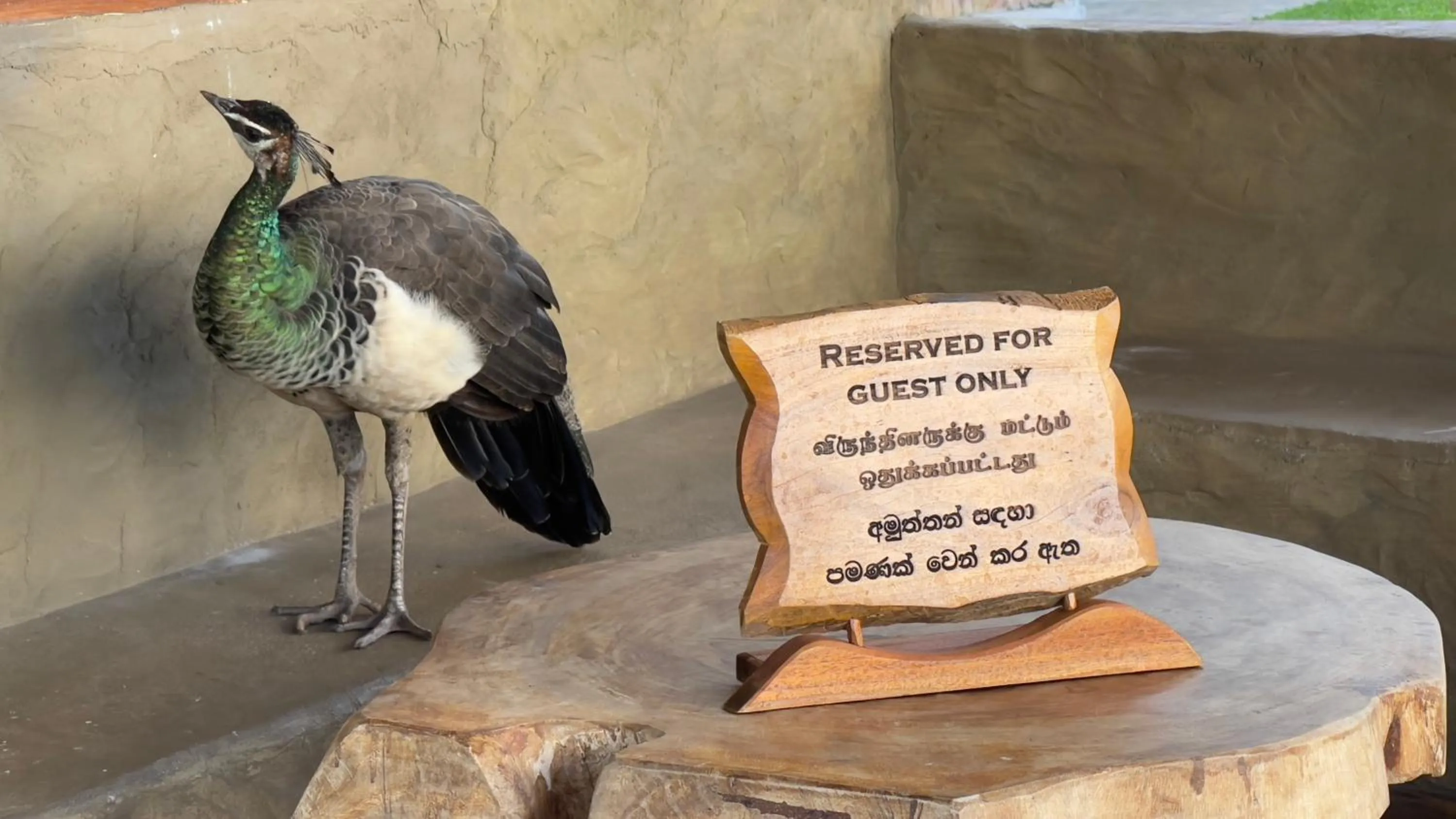 Restaurant/places to eat in Kathircholai