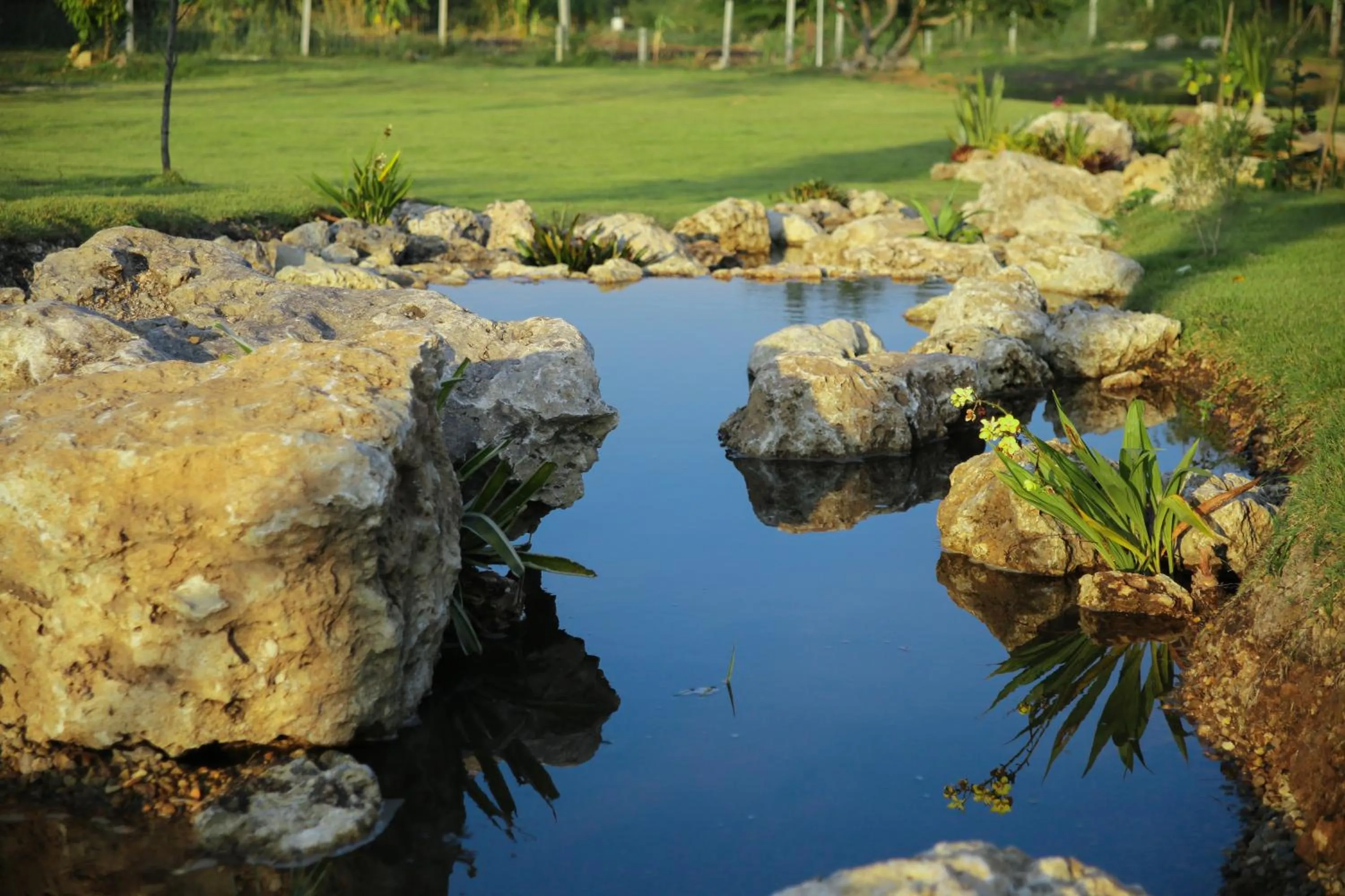 Natural landscape in Nex Station Kanchanaburi