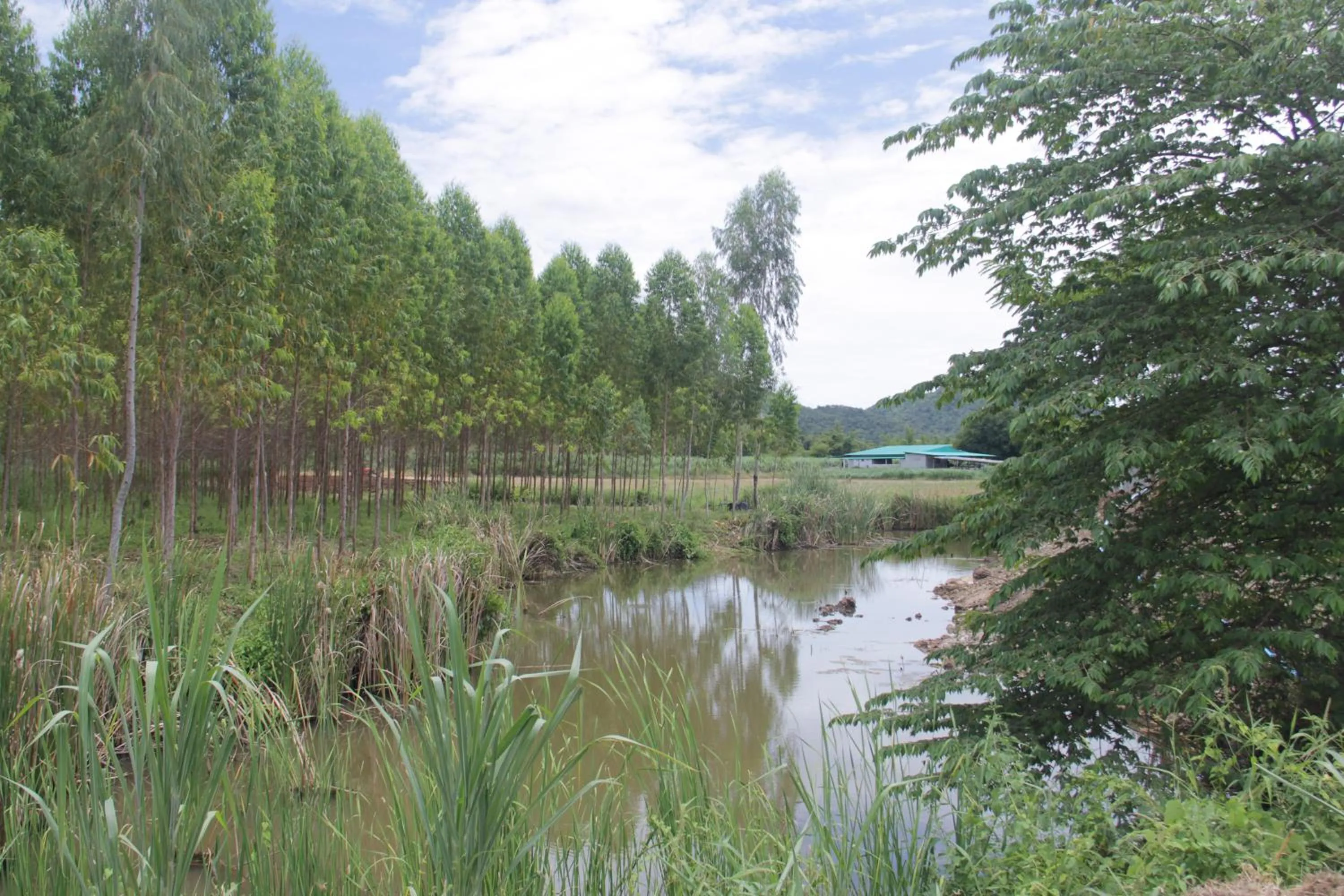 Natural landscape in Nex Station Kanchanaburi