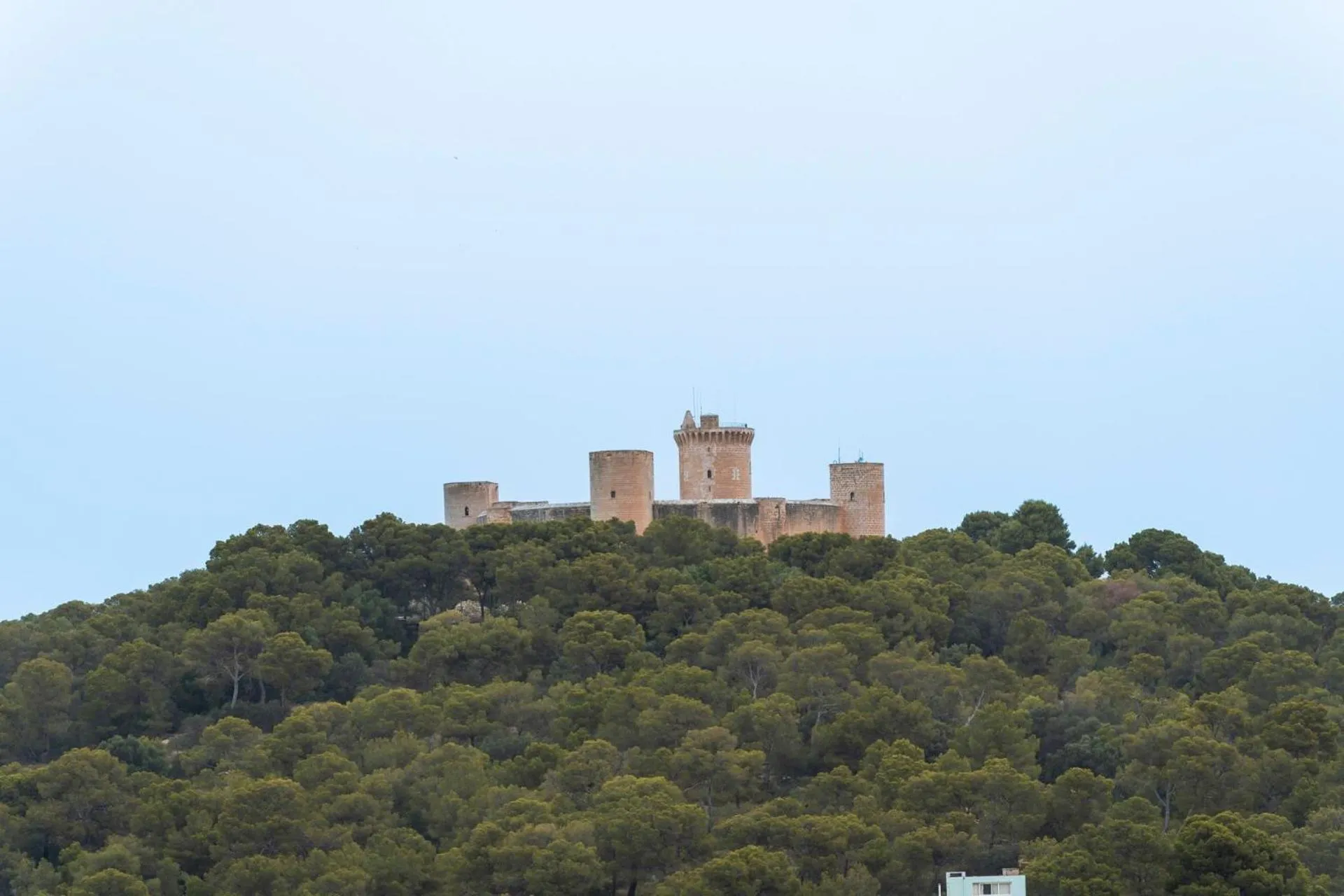 View (from property/room) in Hotel Amic Horizonte