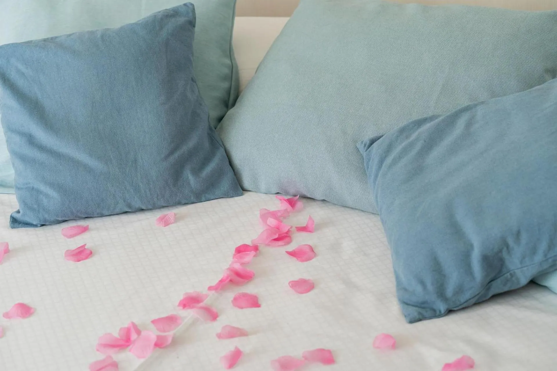 Photo of the whole room, Bed in Hotel Amic Horizonte