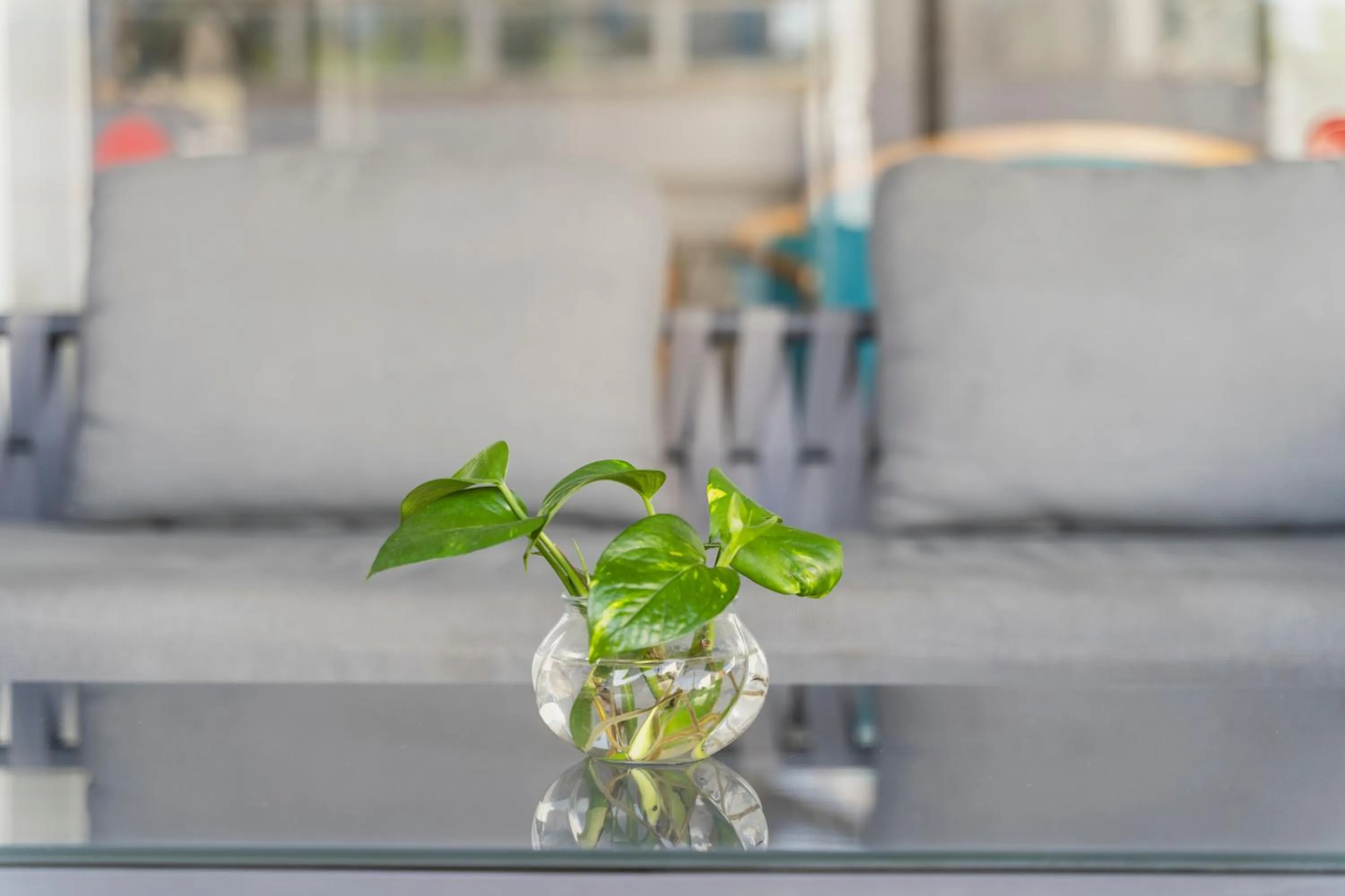 Hotel Amic Miraflores