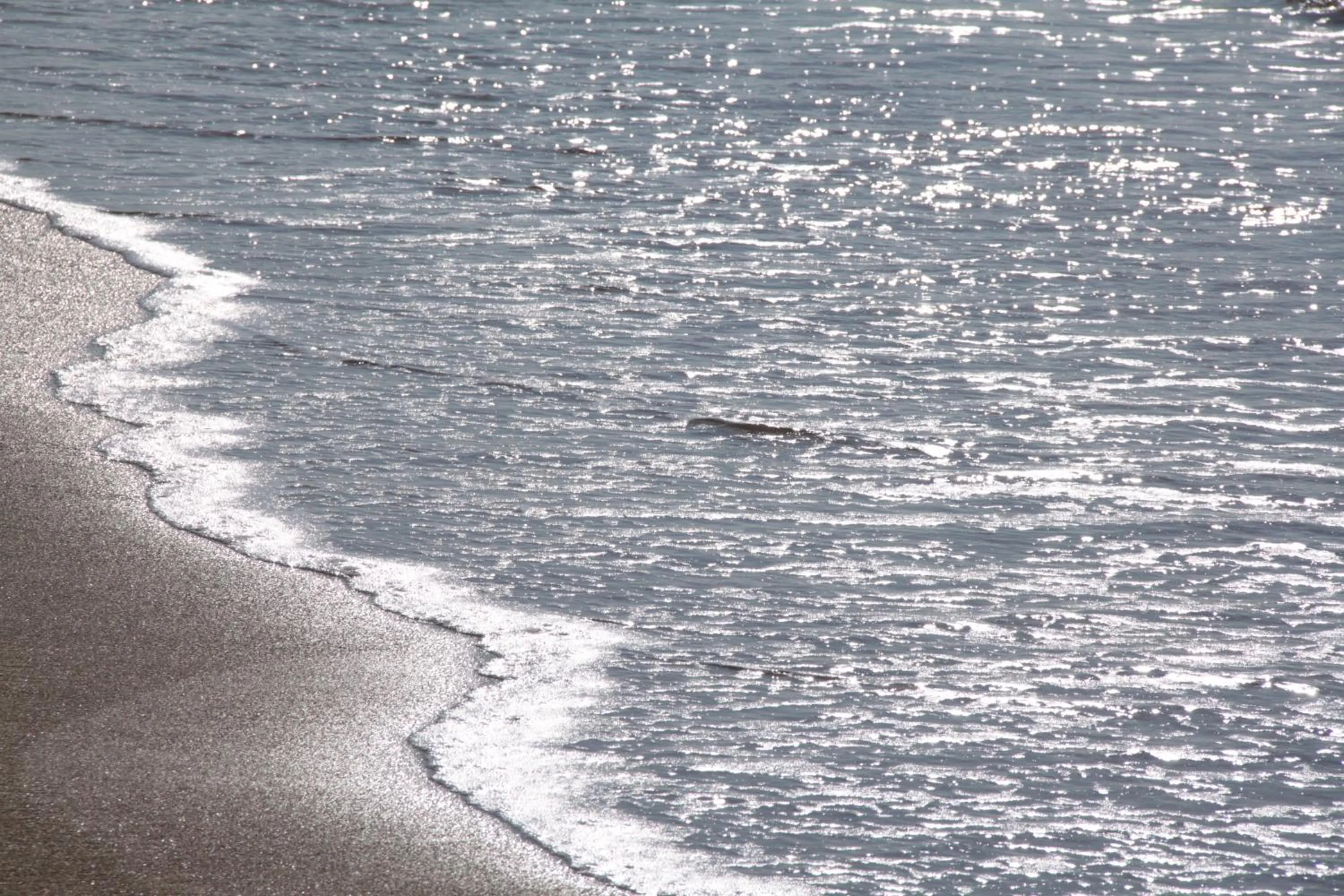 Natural landscape in Hotel Amic Miraflores