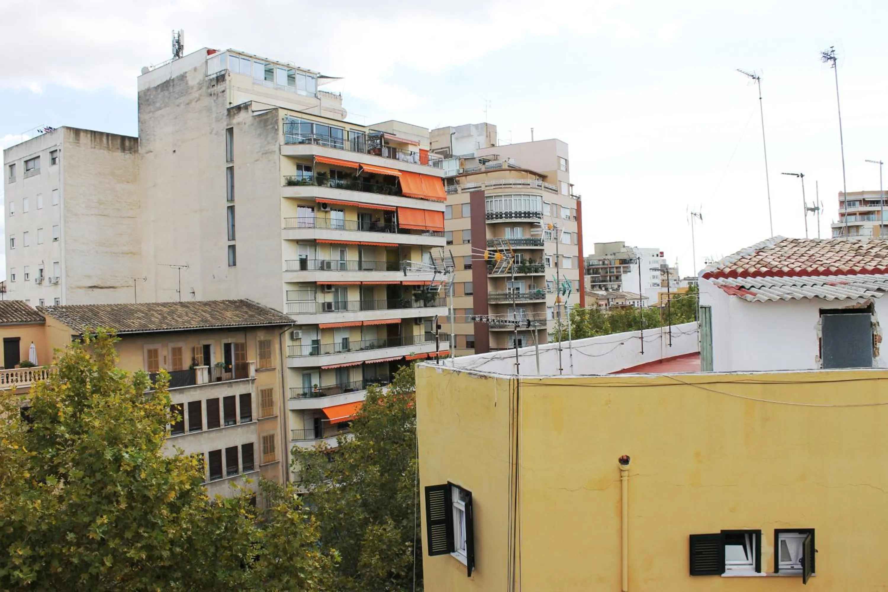 Day in Hotel Amic Colon