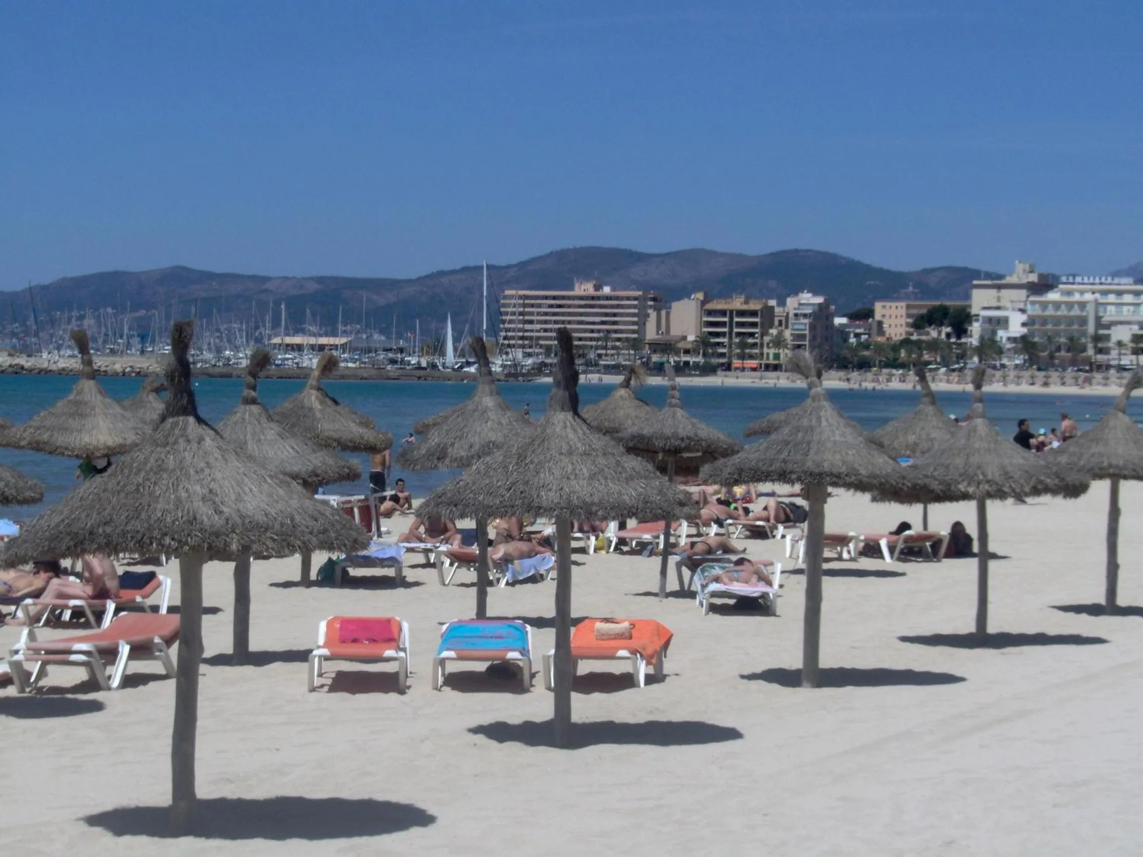 Area and facilities in Hotel Amic Gala