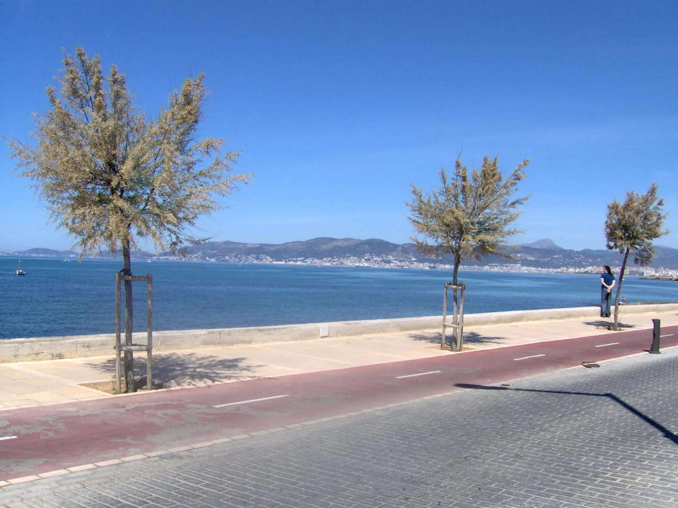 Area and facilities in Hotel Amic Gala