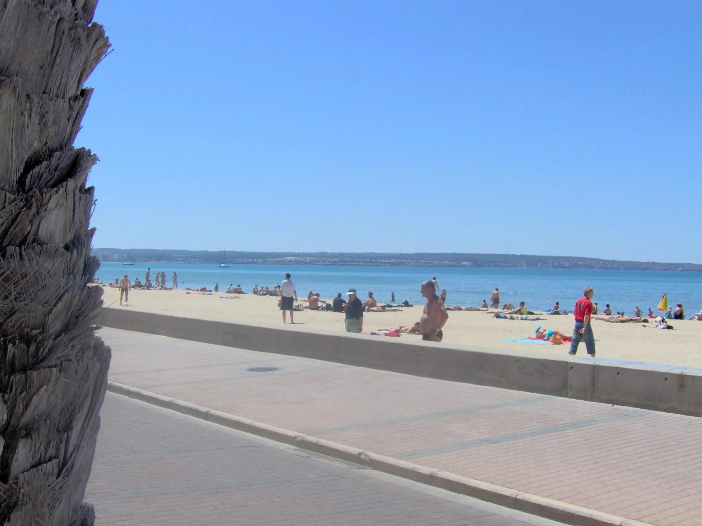 Area and facilities in Hotel Amic Gala