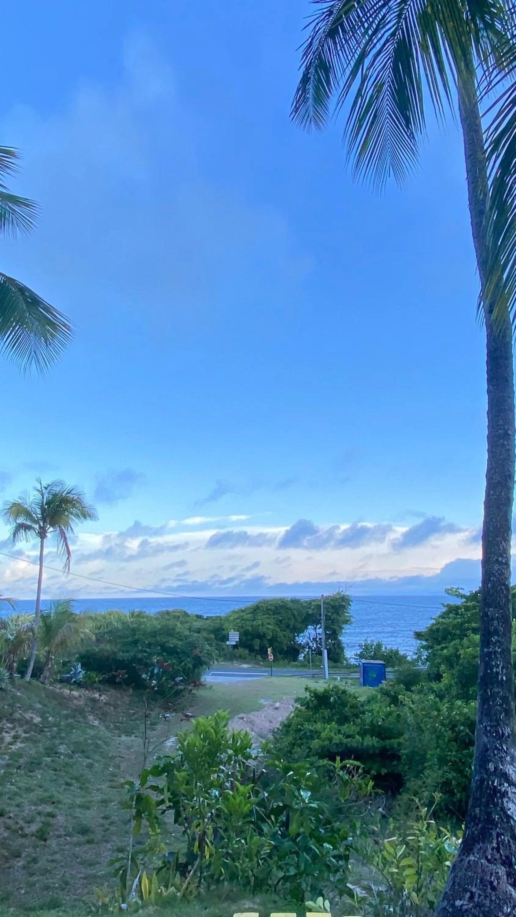 Neighbourhood in Le M Hotel Marie Galante