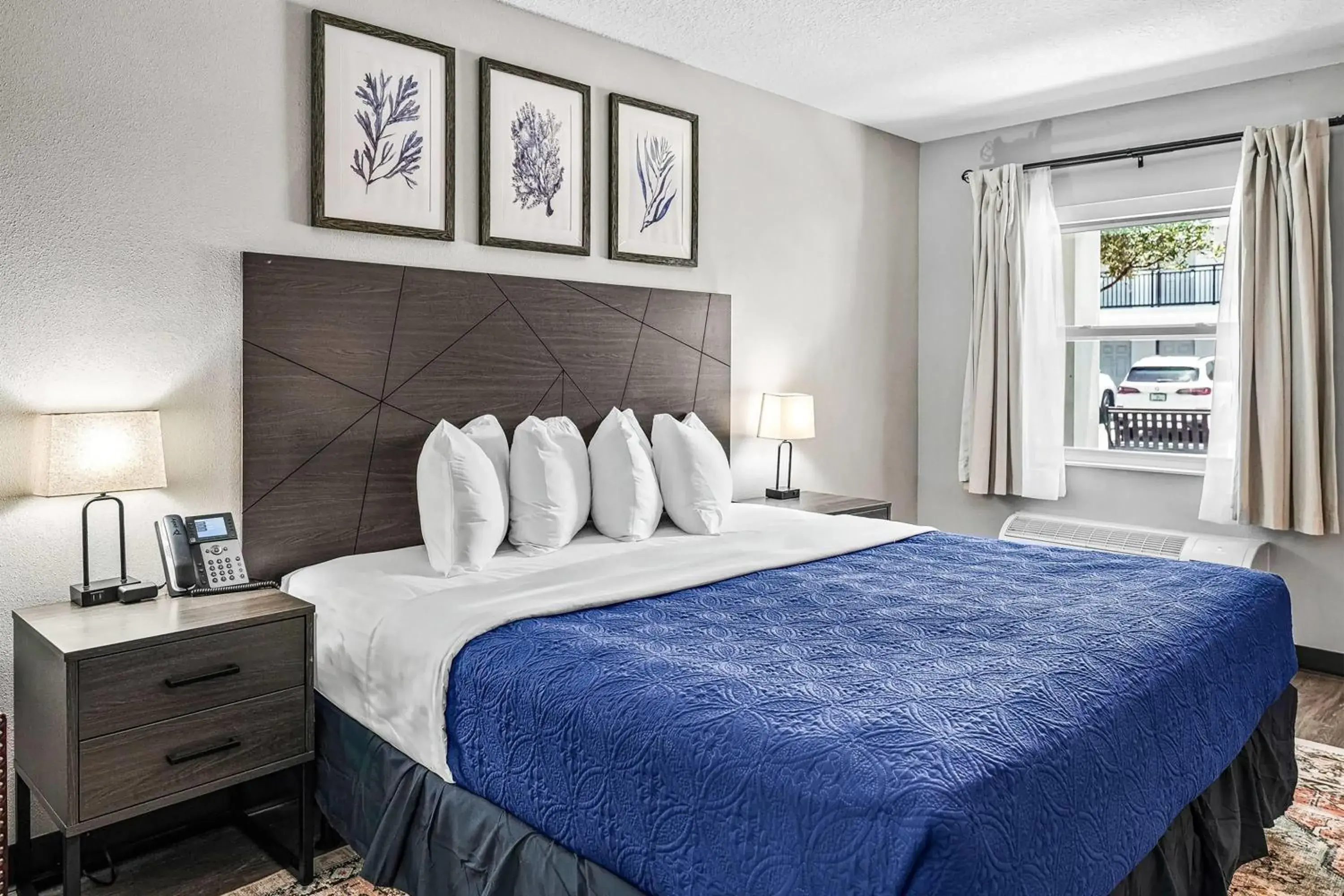 Photo of the whole room, Bed in Baymont by Wyndham Ocala Suites Photo of the whole room, Bed in Baymont by Wyndham Ocala Suites