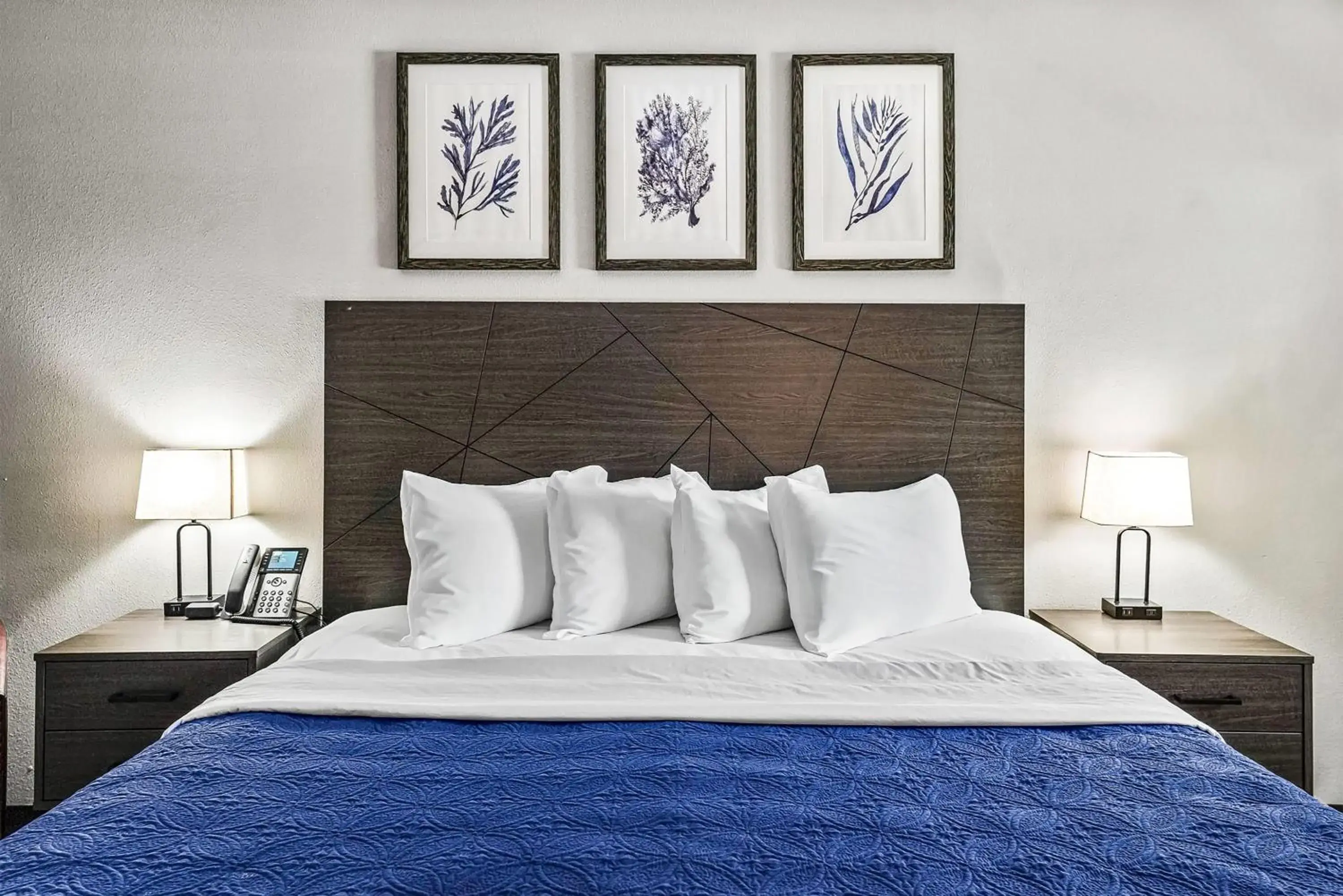 Photo of the whole room, Bed in Baymont by Wyndham Ocala Suites Photo of the whole room, Bed in Baymont by Wyndham Ocala Suites