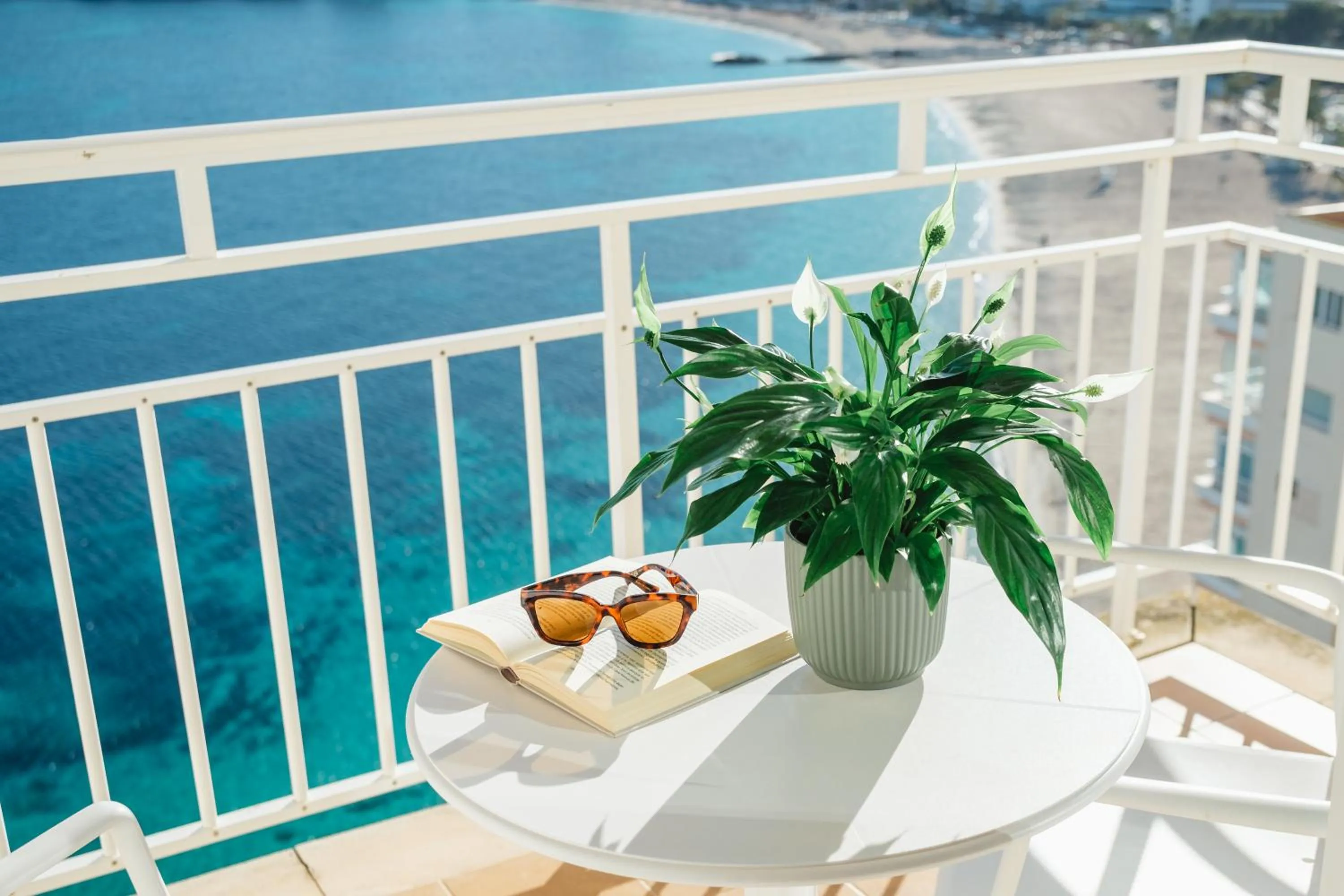 Day in Bahia Principe Sunlight Coral Playa - Adults Only